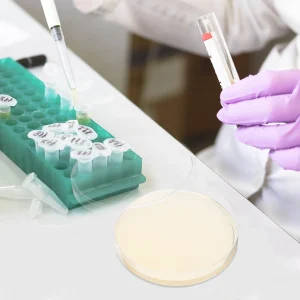 Sterile Agar Plates With Nutrient Medium