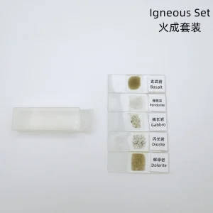 5 Piece Set Prepared Microscope Rock Mineral Thin Sections Slides