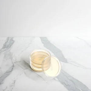 10 Pre-Poured Nutrient Agar Plates in 7 cm Petri Dishes