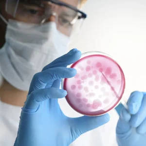 20 X 7cm Pre-Poured Nutrient Agar Plates