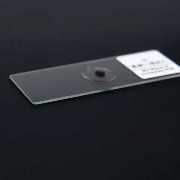 200 Piece Prepared Microscope Slides Set For UK Schools And Universities