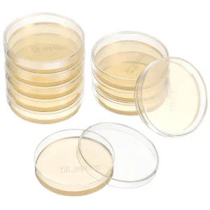 10pcs 7cm Nutrient Agar Plates for Microbiology Experiments