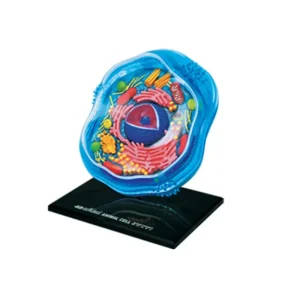 4D Master Animal Cells Anatomical Model