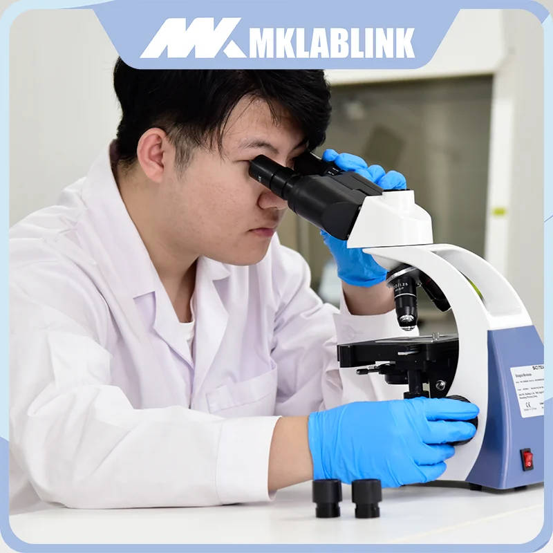 MKM-B500E Biological Microscope with Binocular Head and Double-Layer Mechanical Stage High-performance biological microscope designed for educational and research institutions in the UK, featuring a binocular head and advanced mechanical stage. High-performance biological microscope designed for educational and research institutions in the UK, featuring a binocular head and advanced mechanical stage. MKM-B500E Biological Microscope with Binocular Head and Double-Layer Mechanical Stage - Image 5