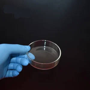 75mm Borosilicate Glass Petri Dishes - Pack of 5