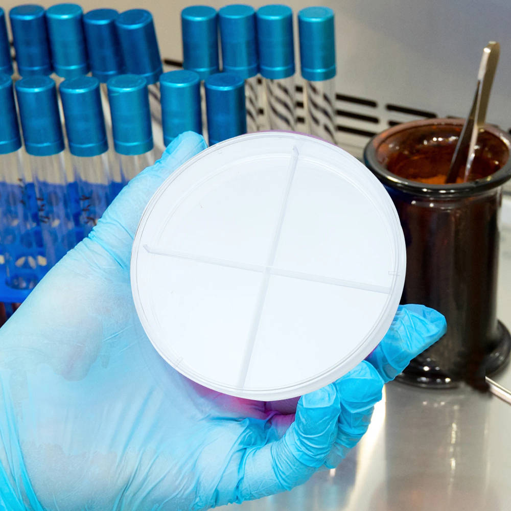 NUOLUX 10pcs Transparent Plastic Petri Dishes with Four Compartments for Cell Culture and Research High-quality, transparent plastic petri dishes with four compartments for cell culture, teaching, and scientific research. Ideal for UK educational institutions and laboratories. High-quality, transparent plastic petri dishes with four compartments for cell culture, teaching, and scientific research. Ideal for UK educational institutions and laboratories. NUOLUX 10pcs Transparent Plastic Petri Dishes with Four Compartments for Cell Culture and Research - Image 3