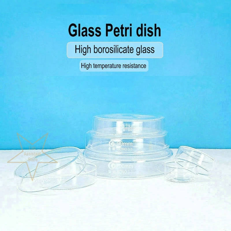 Borosilicate Glass Culture Dishes for Microbiology & Cell Culture High-quality borosilicate glass culture dishes for laboratory use, offering exceptional thermal resistance and optical clarity for microbiology and cell culture applications. High-quality borosilicate glass culture dishes for laboratory use, offering exceptional thermal resistance and optical clarity for microbiology and cell culture applications. Borosilicate Glass Culture Dishes for Microbiology & Cell Culture