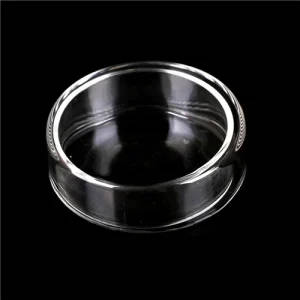 60mm Borosilicate Glass Petri Dish With Cover