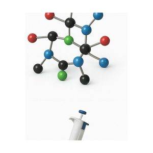 Science Disciplines
