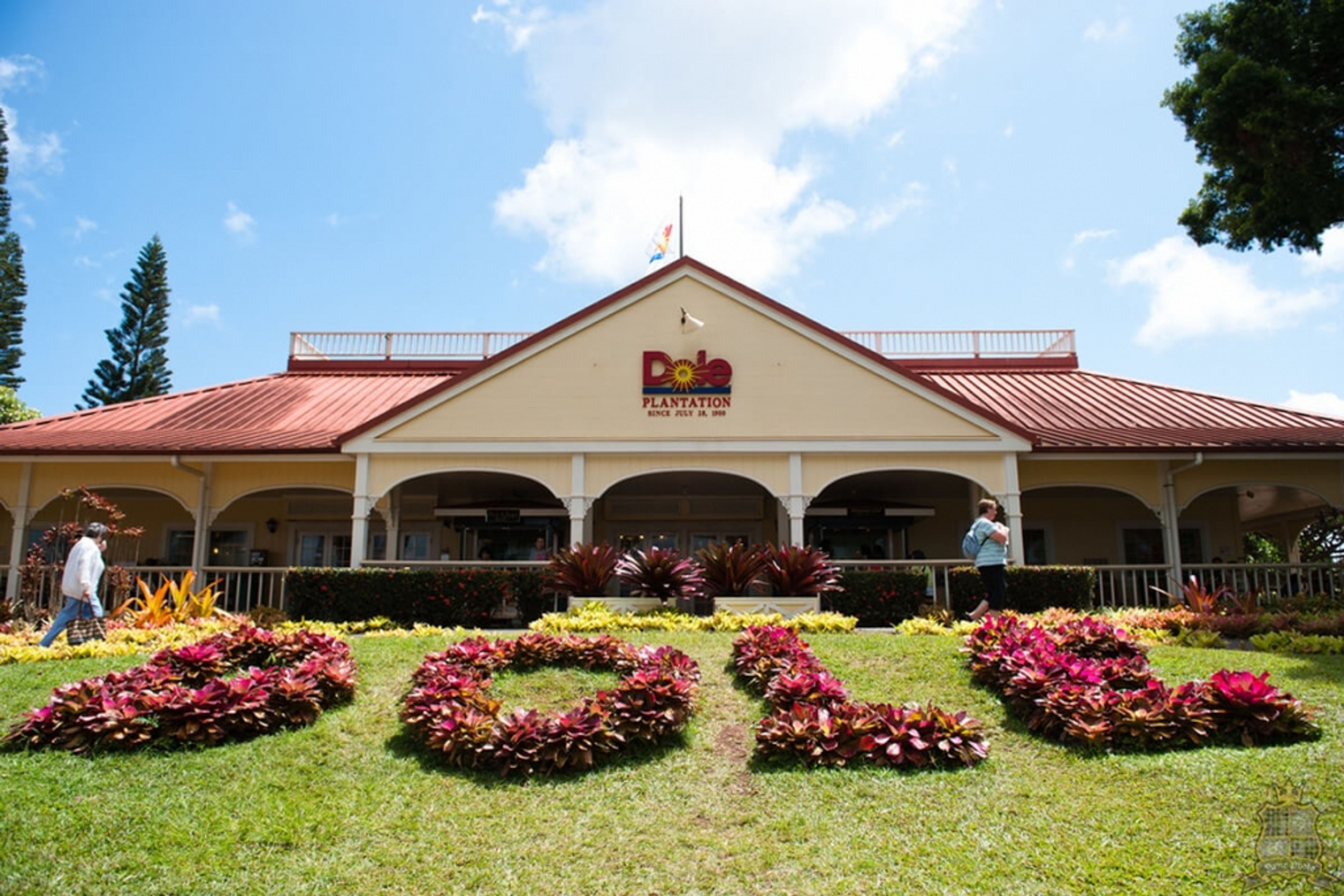 Dole Plantation building with colorful flower arrangements in front