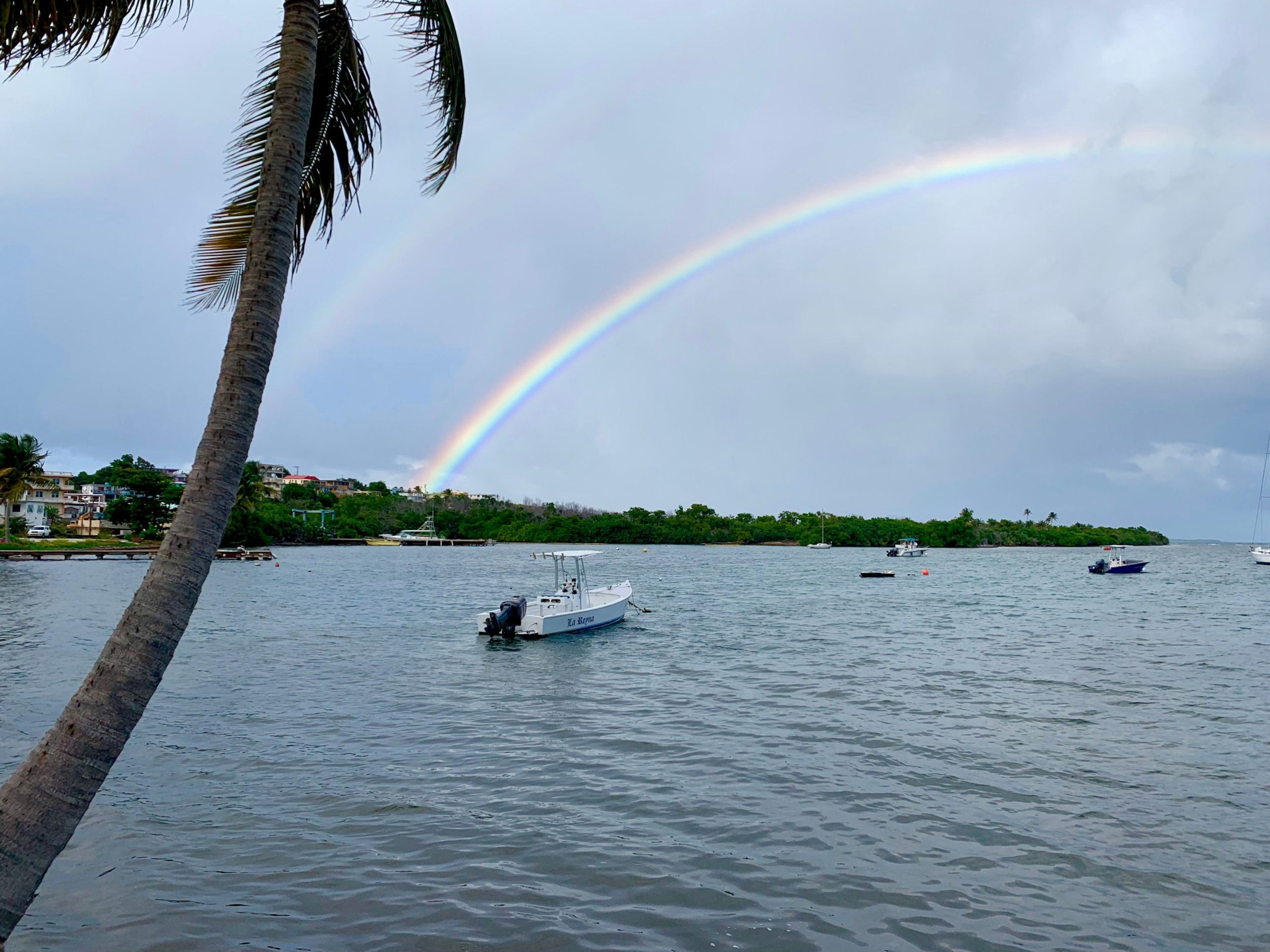 A rainbow arches over a calm bay with boats and palm trees.