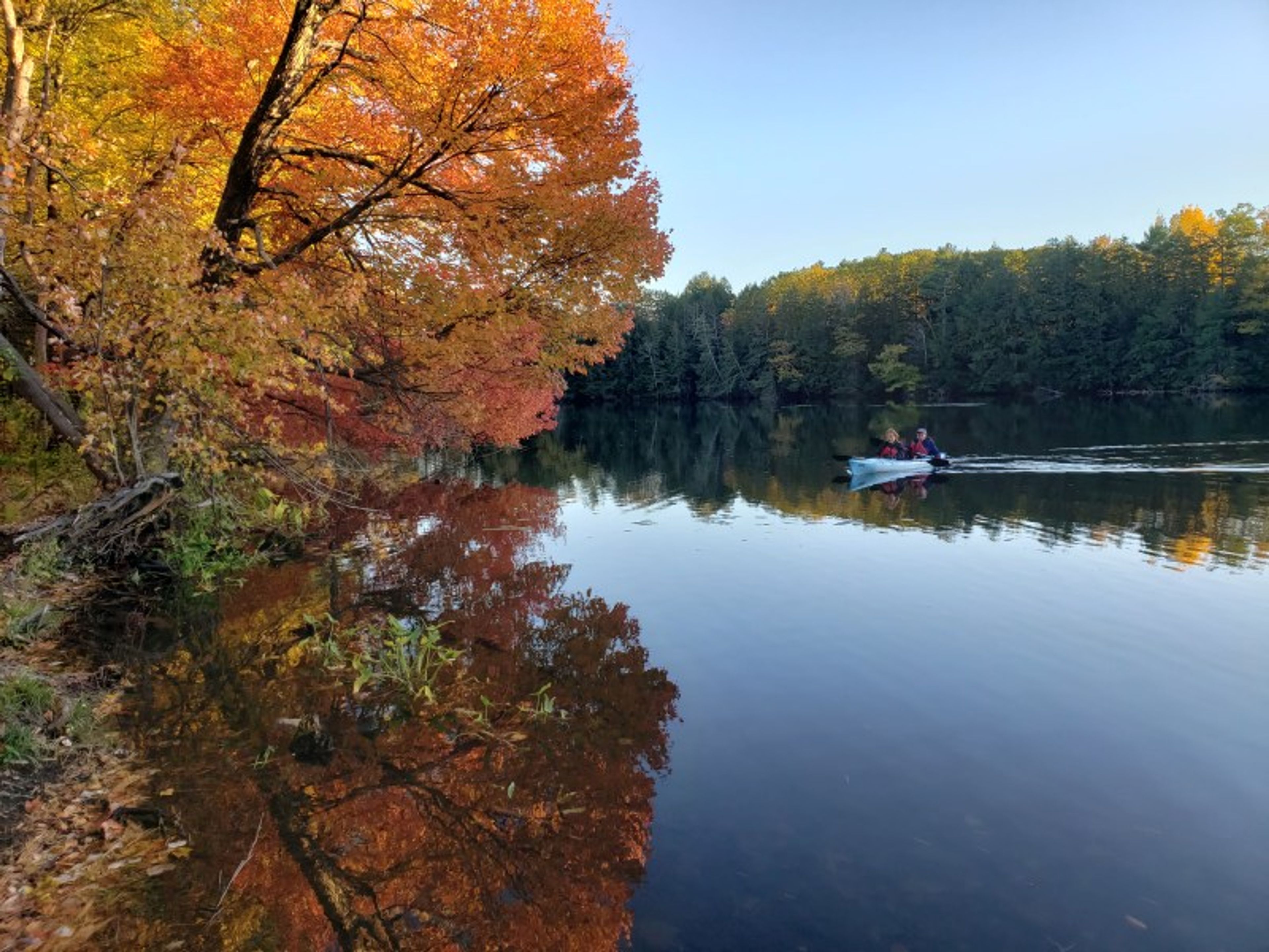 Two people kayaking on a calm lake surrounded by autumn foliage.