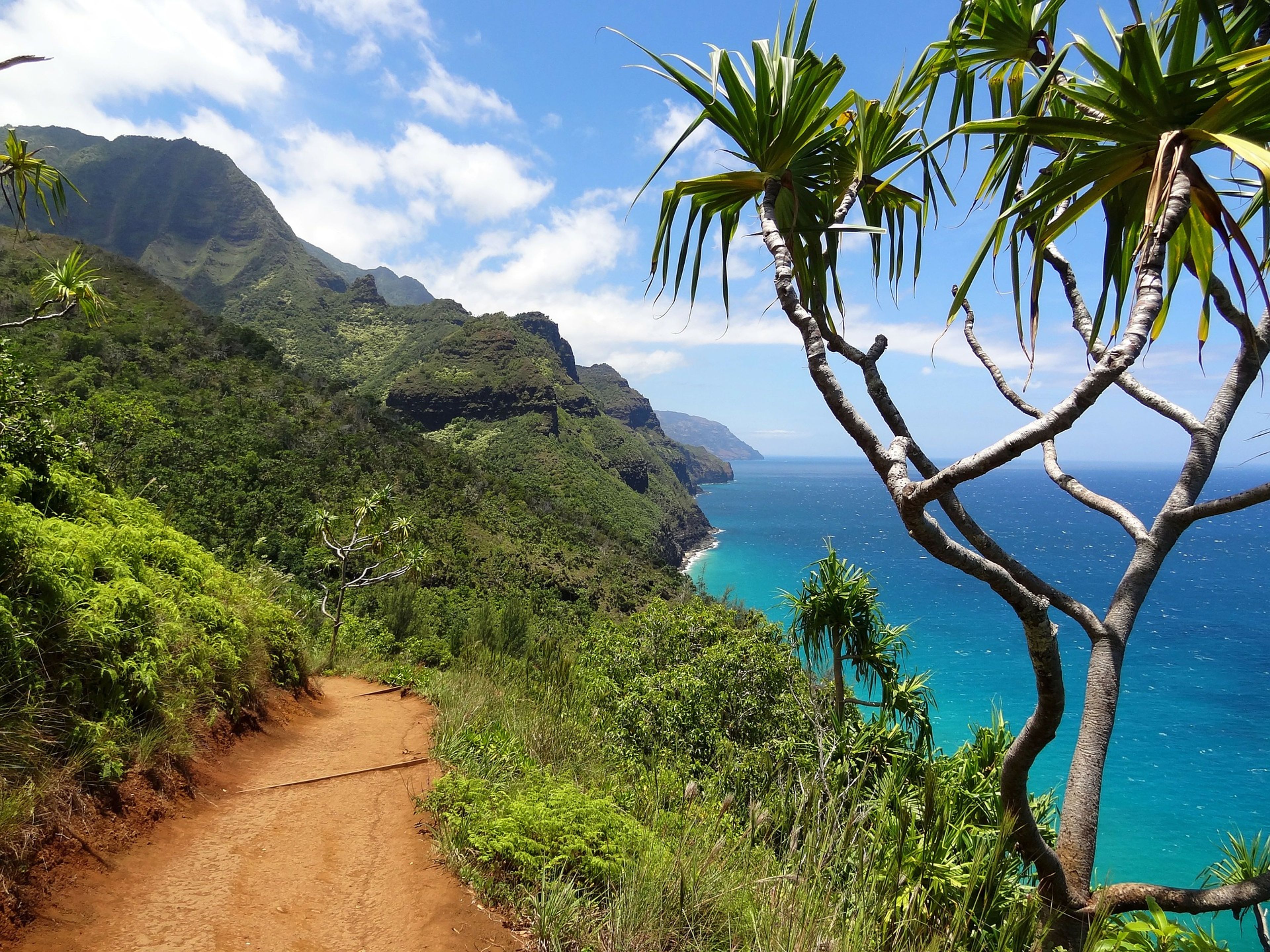 Scenic coastal view with mountains and a winding dirt path