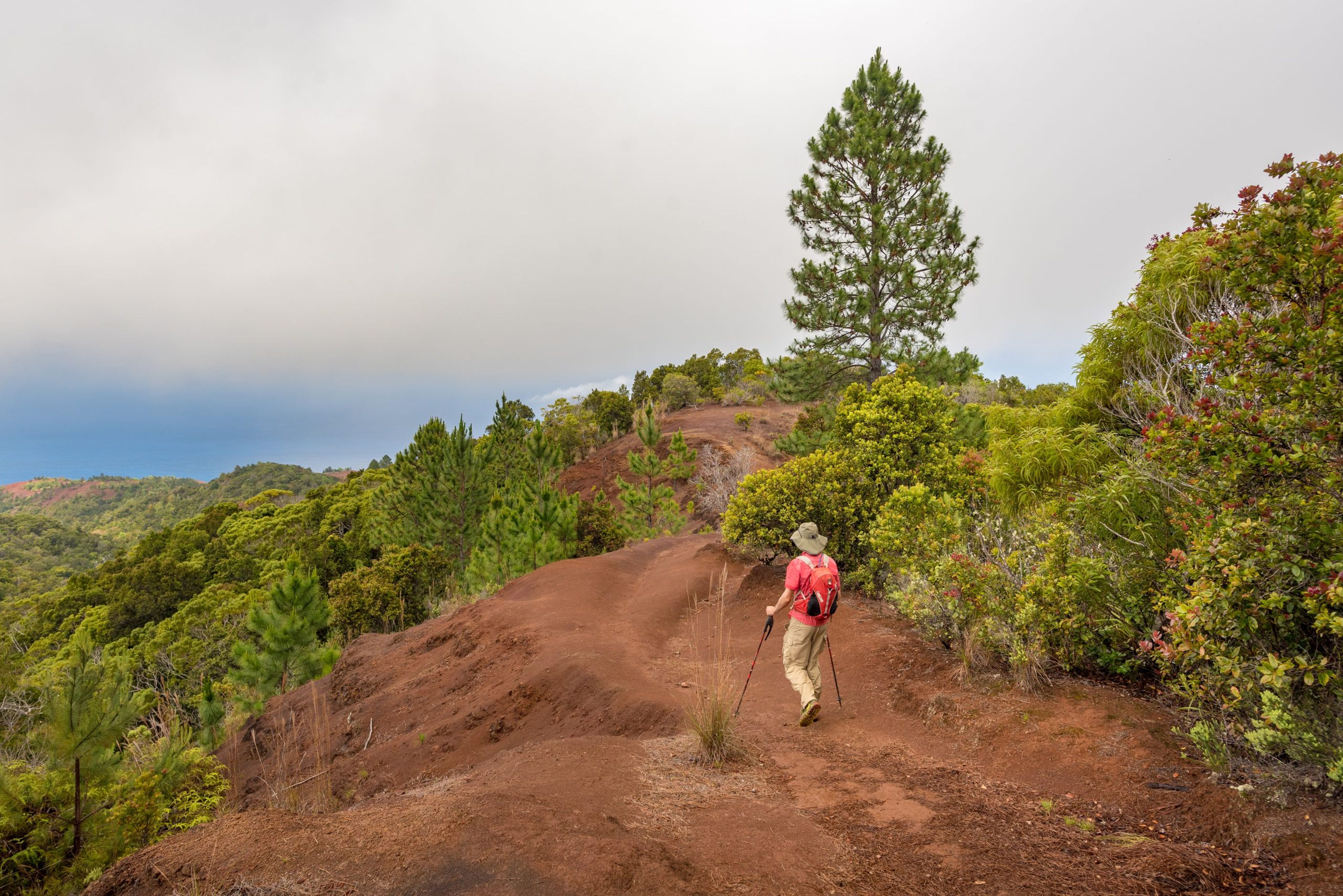 Hiker on a red dirt trail surrounded by lush greenery and trees