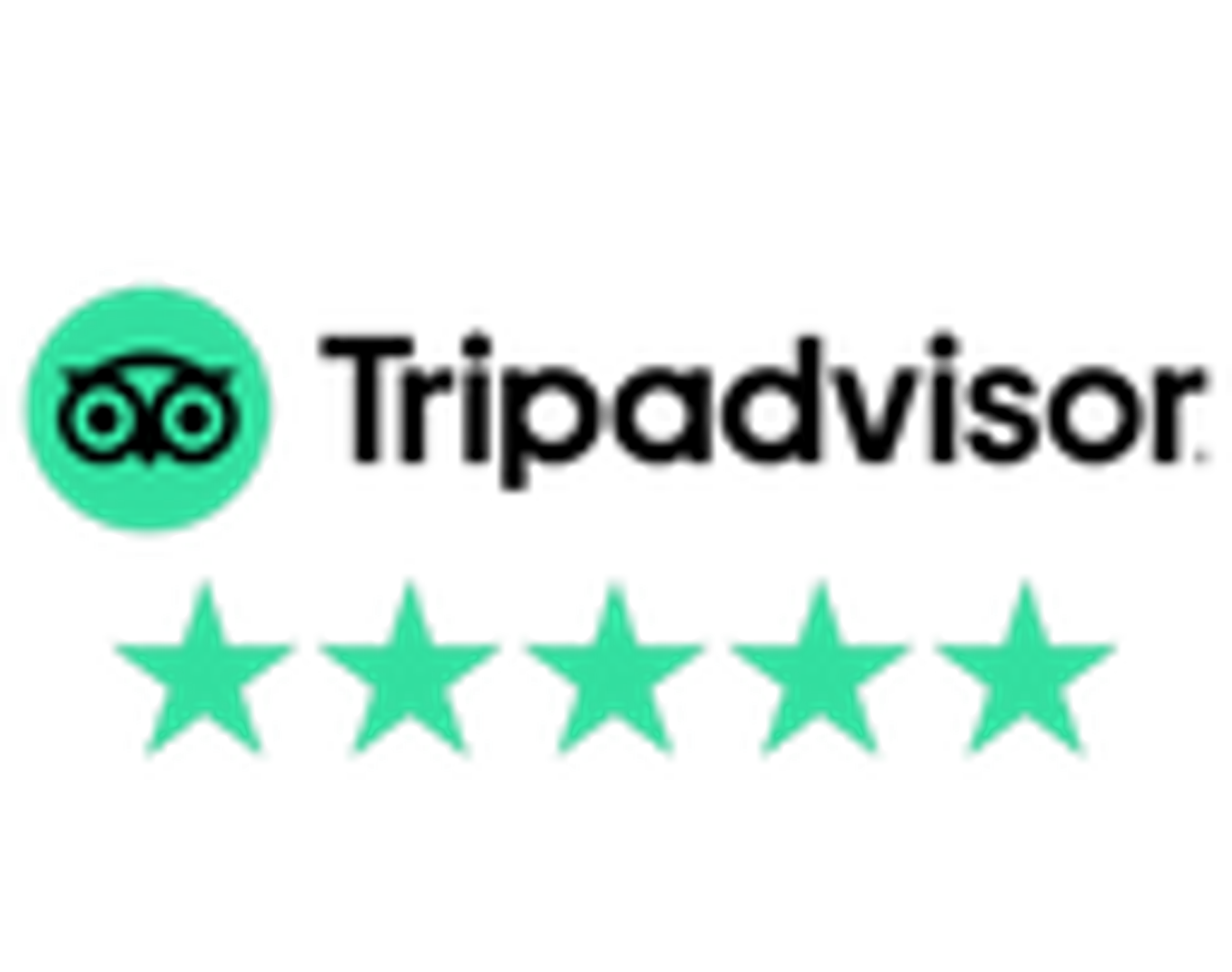 Five green stars with a travel review icon above them