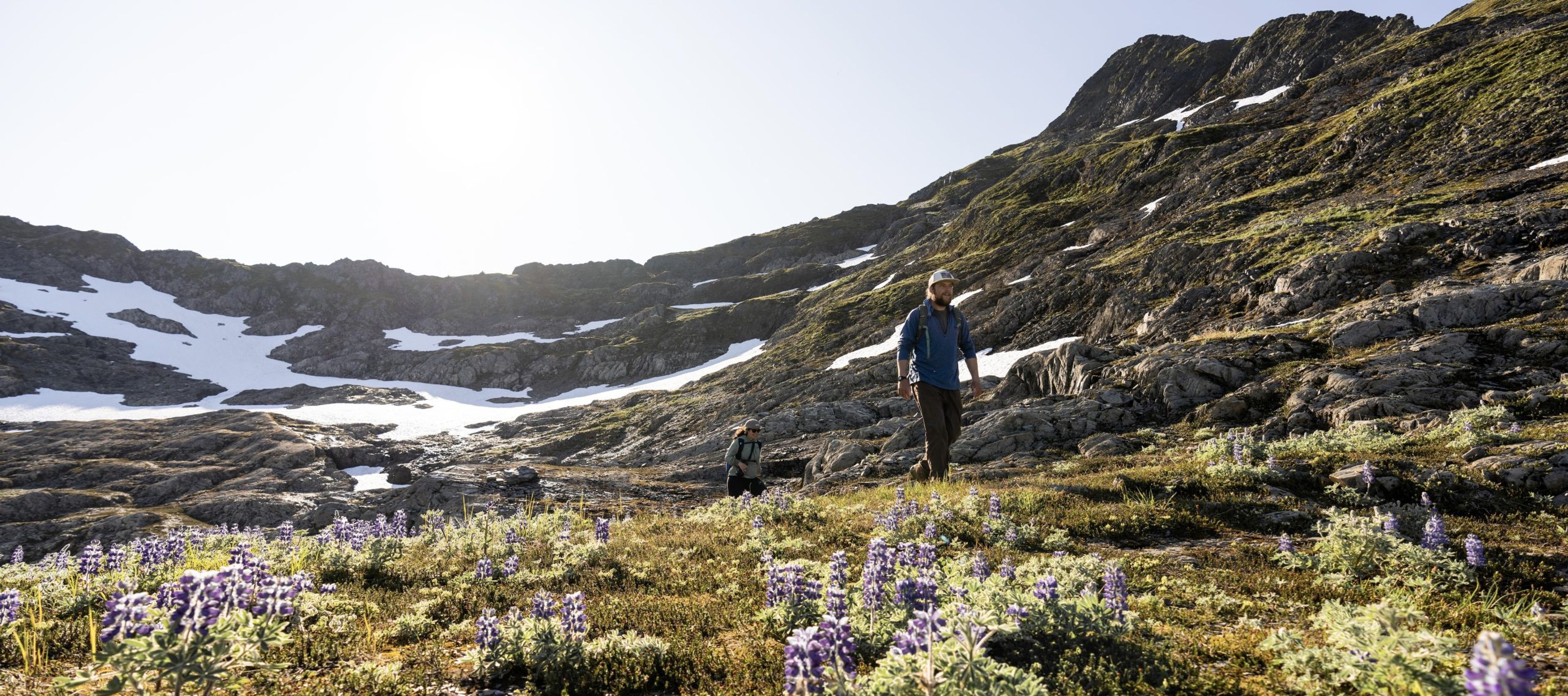 Two hikers walking through a mountainous landscape with purple flowers and snow patches.