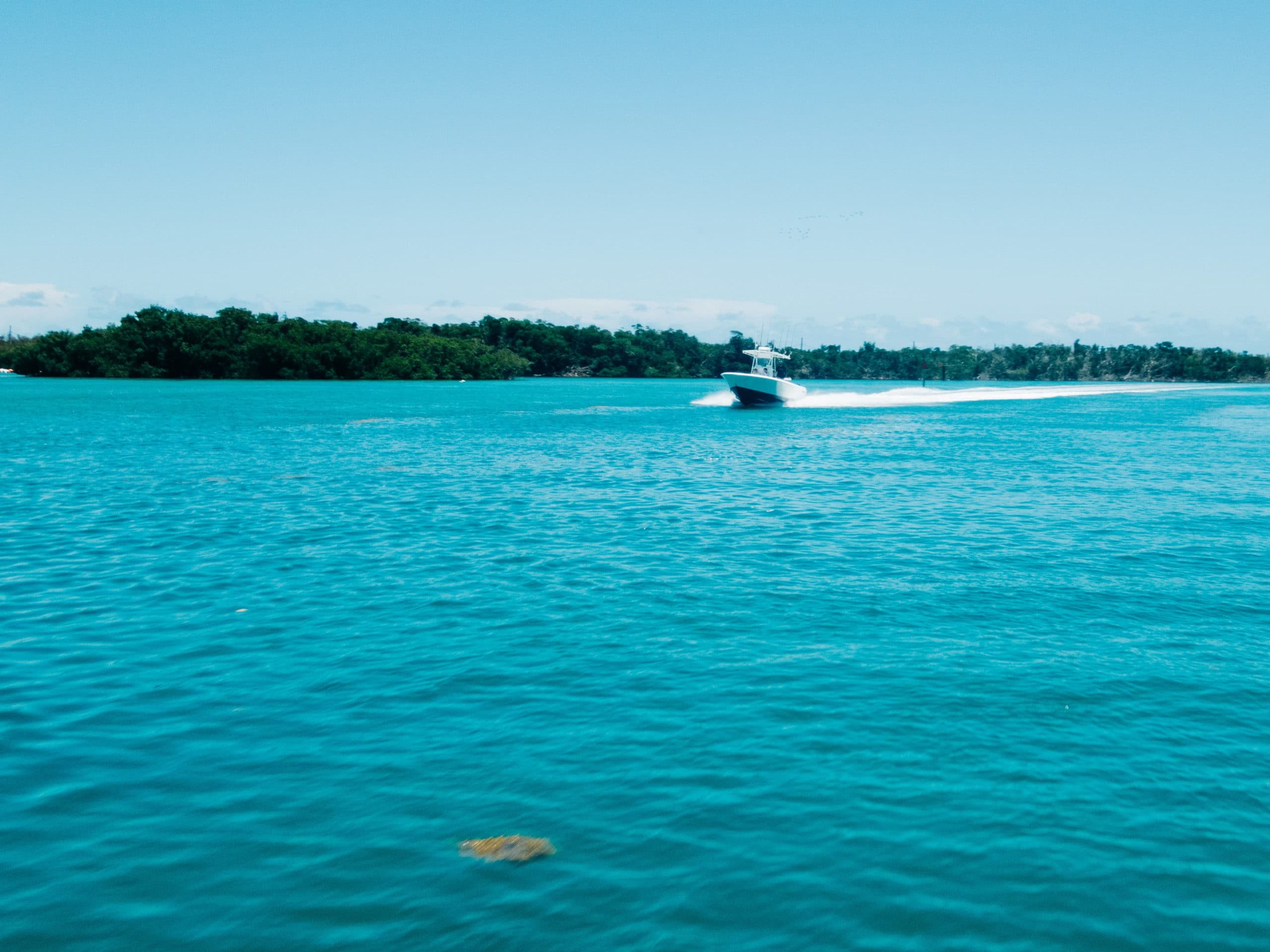 A speedboat gliding across turquoise waters near a lush green island.
