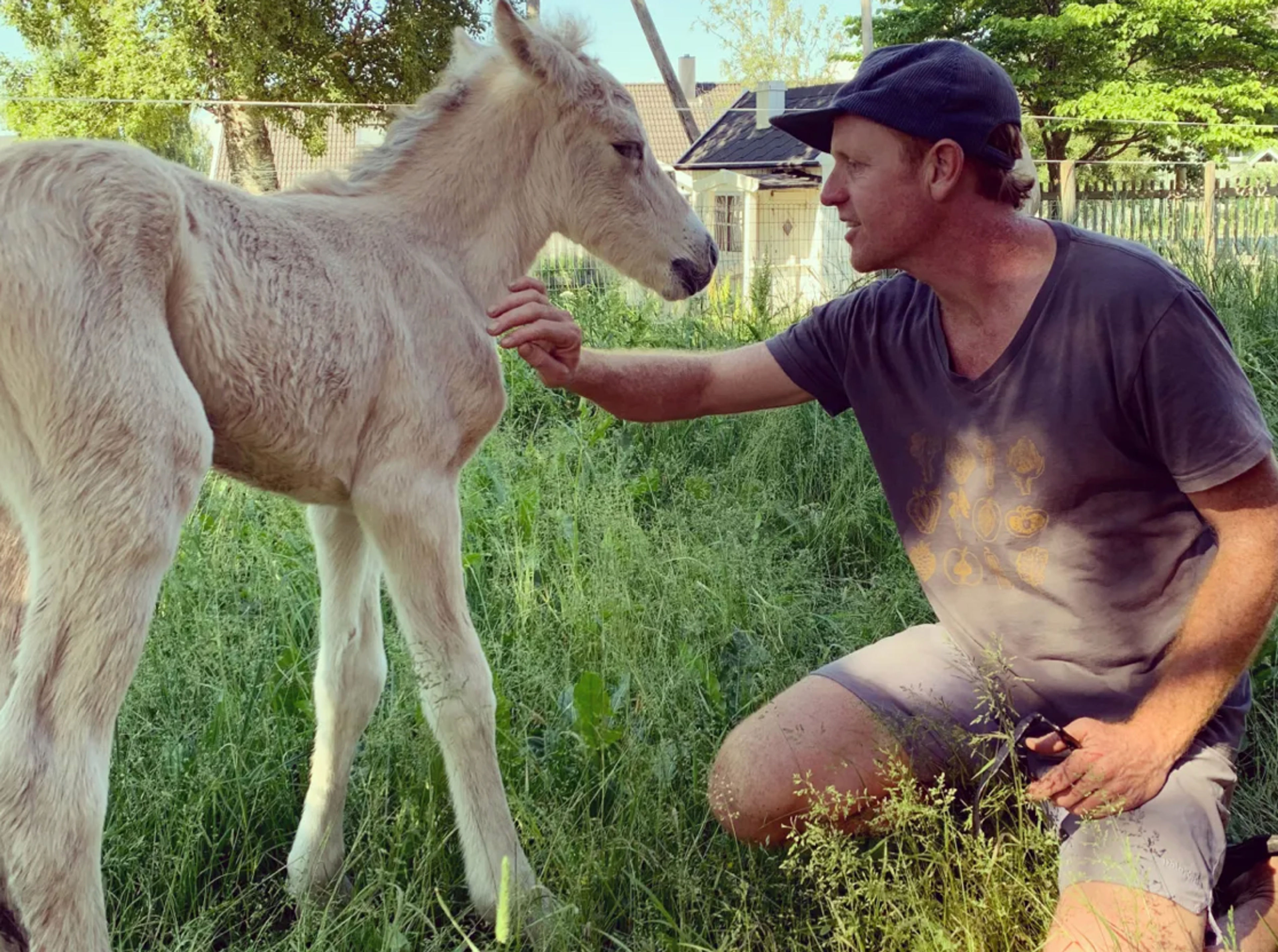 A person kneeling beside a young horse in a grassy field.