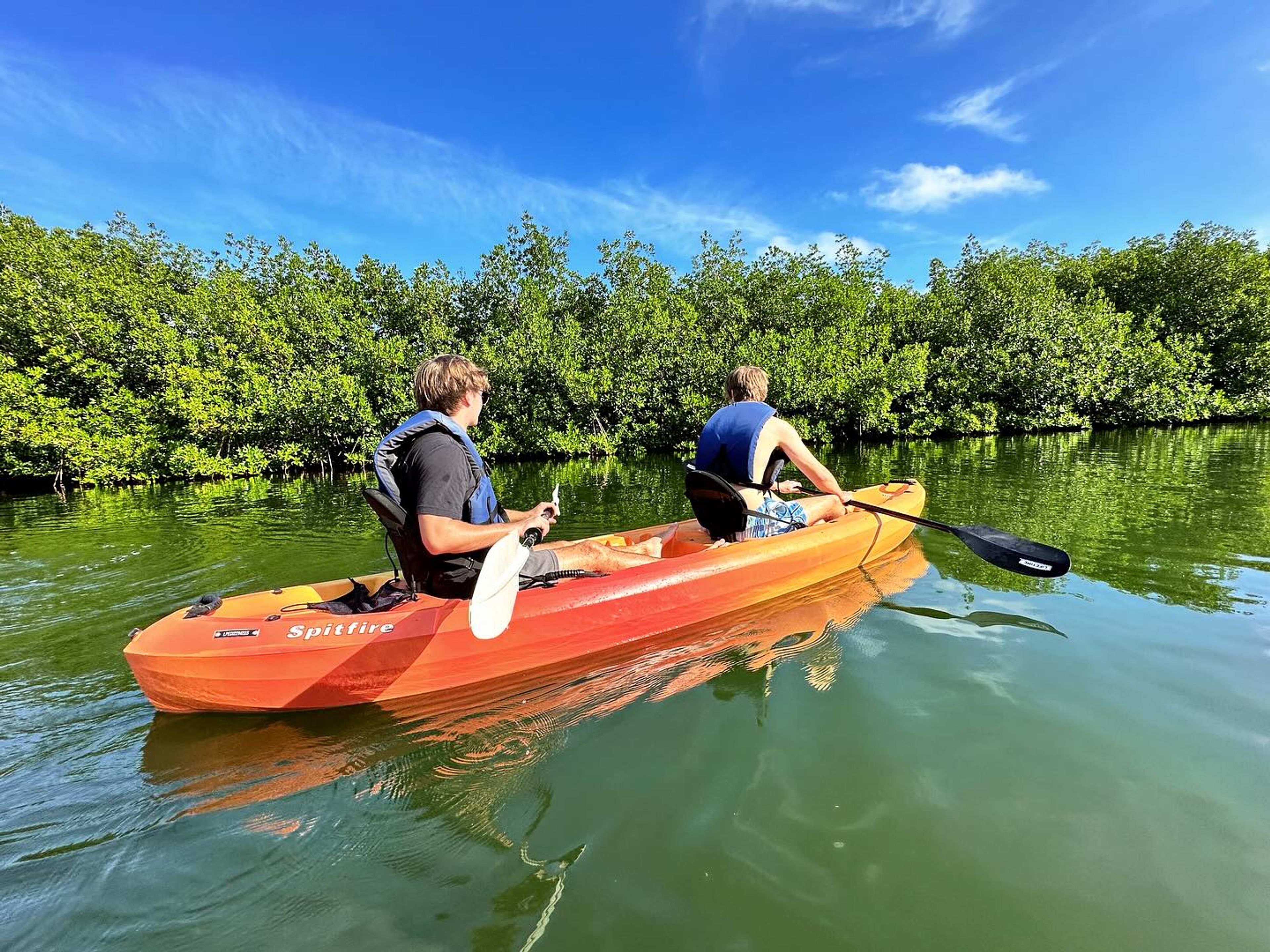 Two people kayaking in a mangrove area under a clear blue sky.