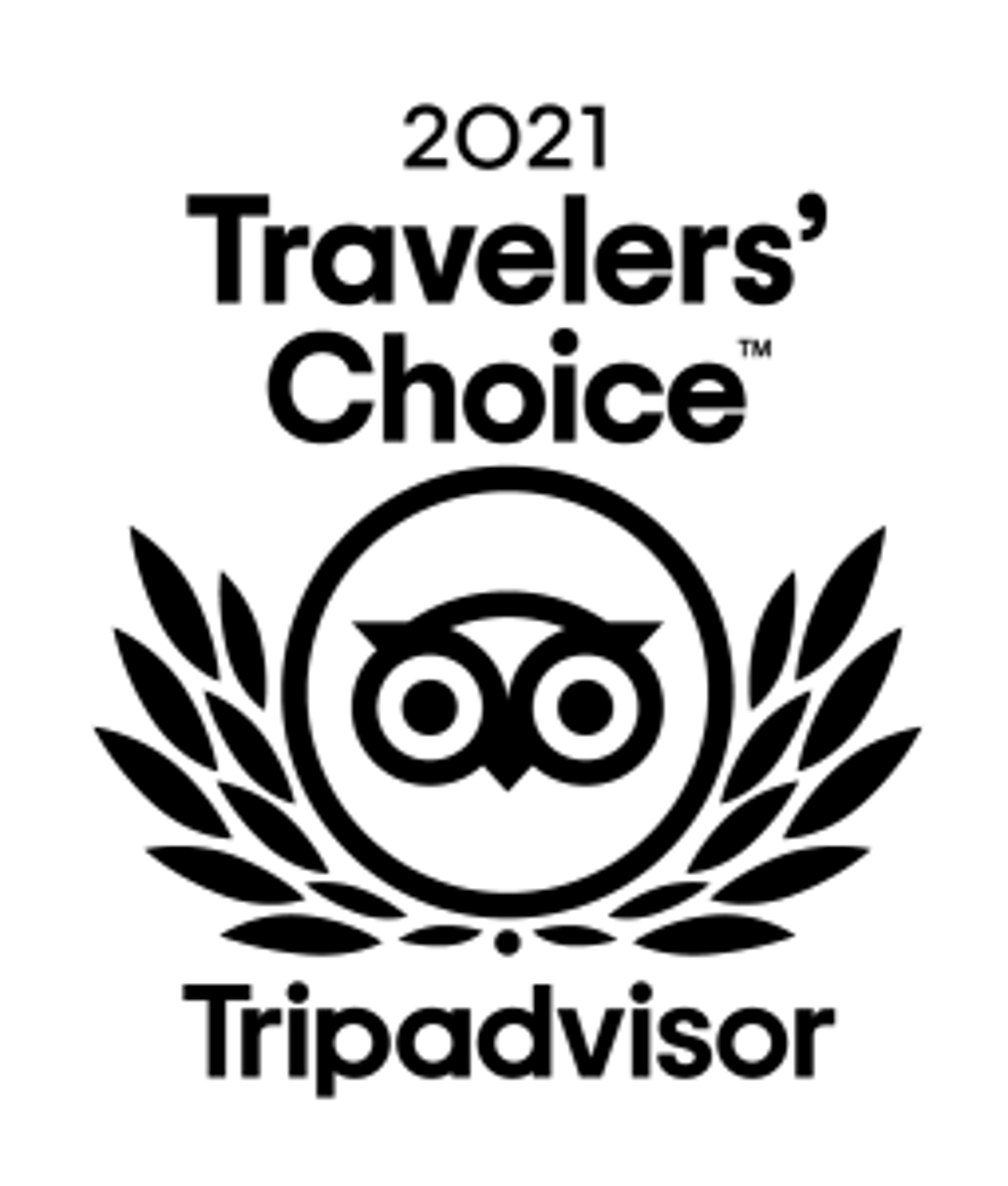 A starry night sky with scattered stars and a silhouette of trees.
