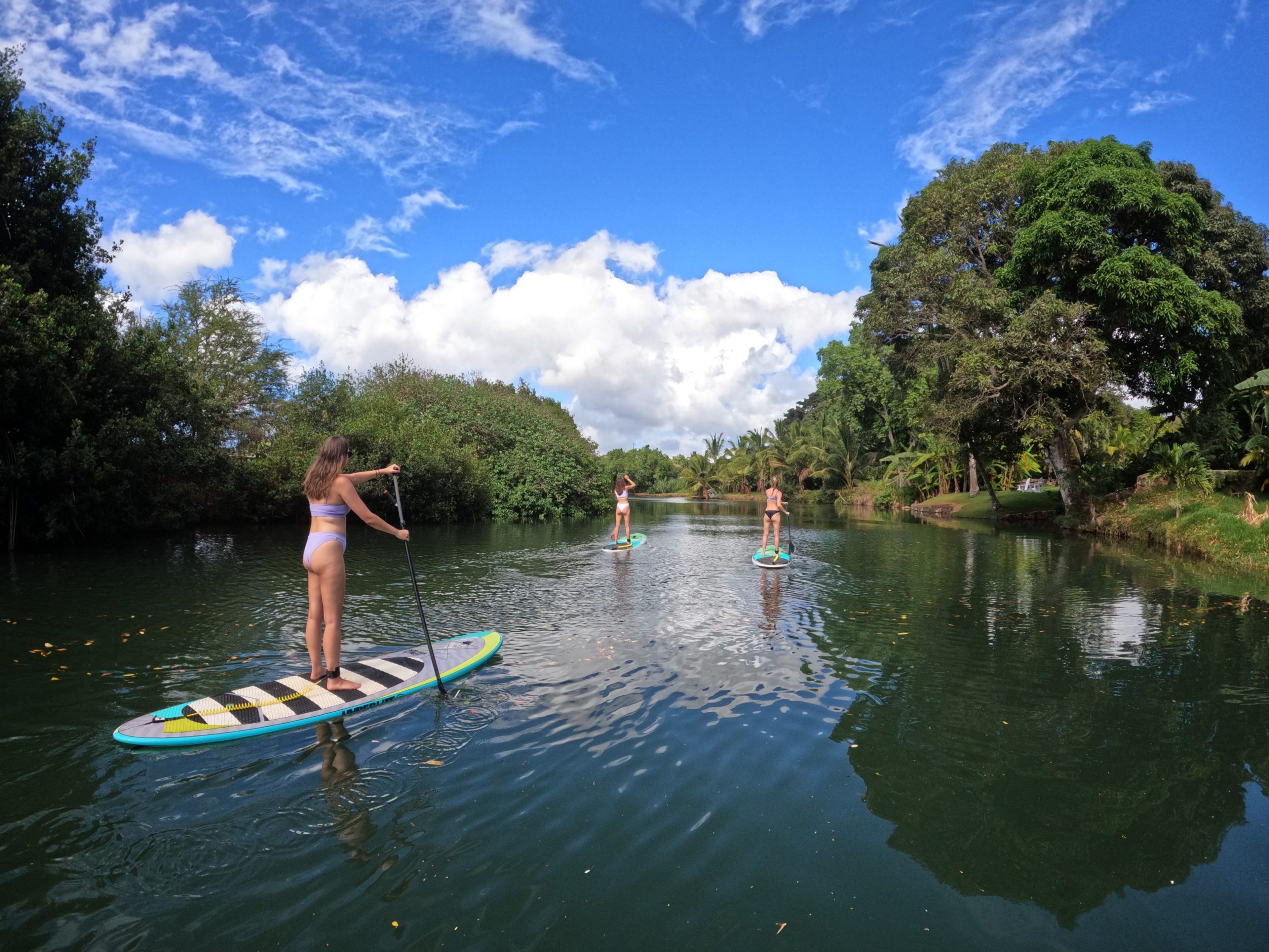 Three people paddleboarding on a calm river surrounded by greenery and blue skies.