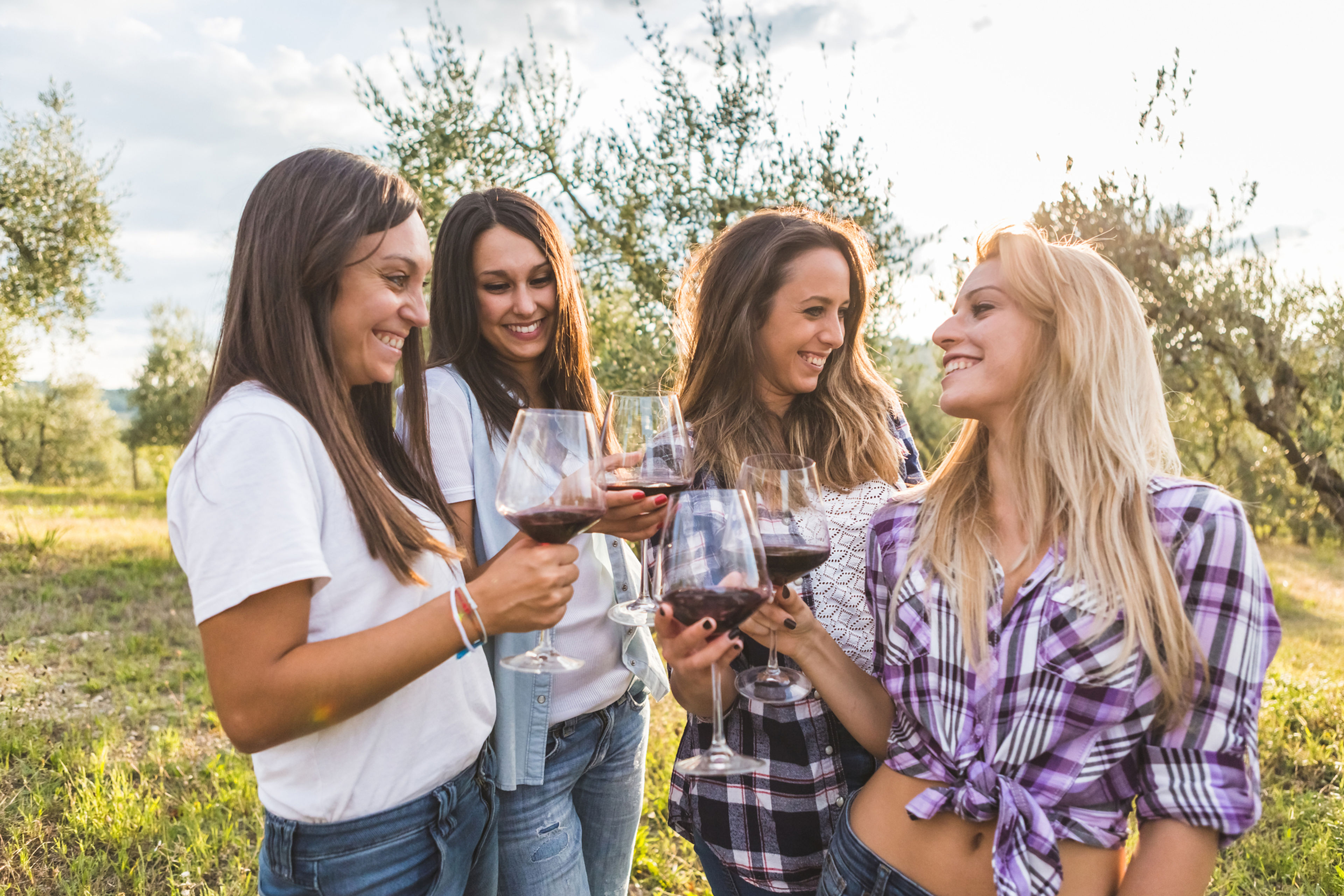 Four women enjoying wine in a sunny outdoor setting with olive trees.