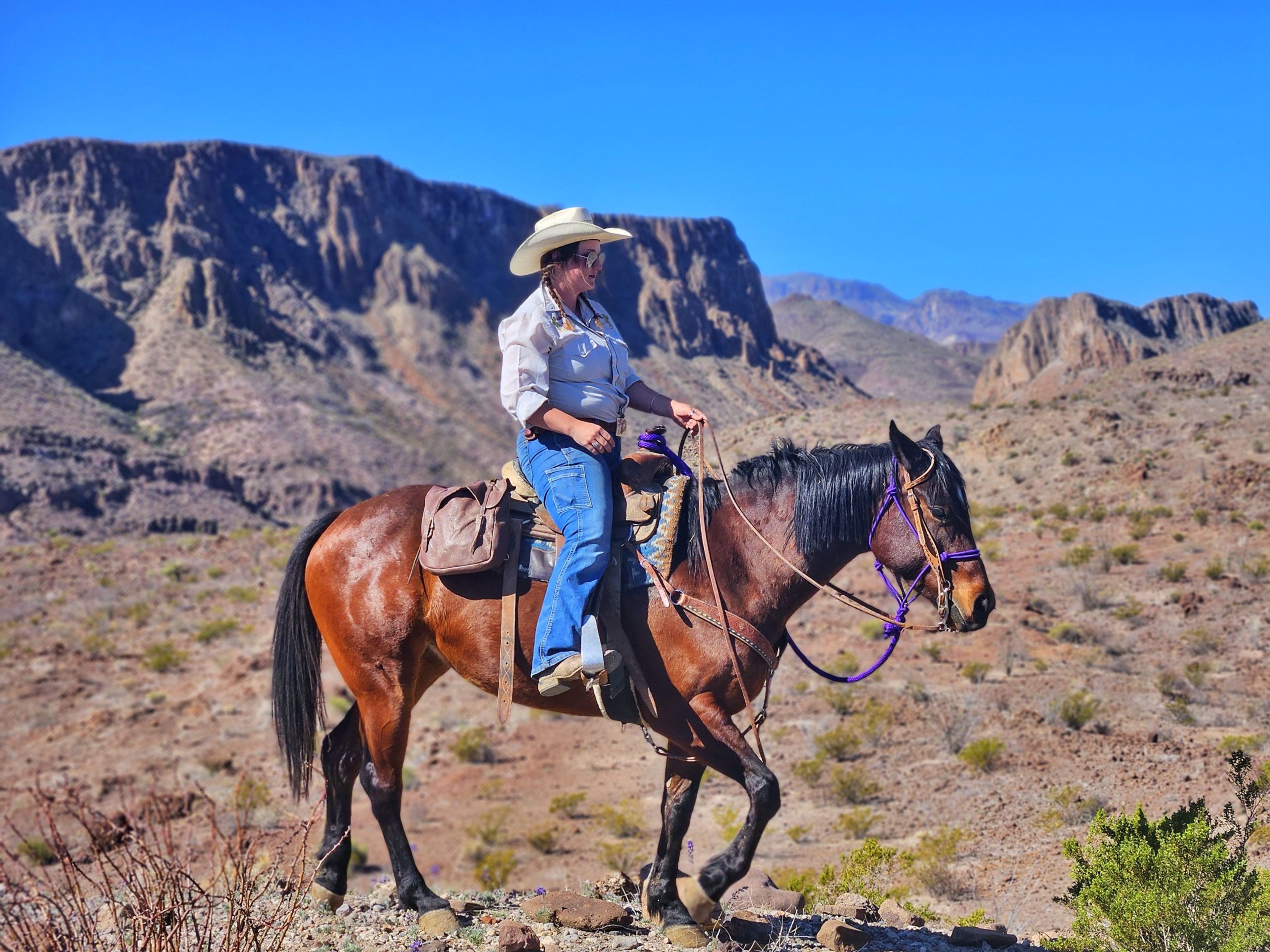 Person riding a horse in a mountainous desert landscape