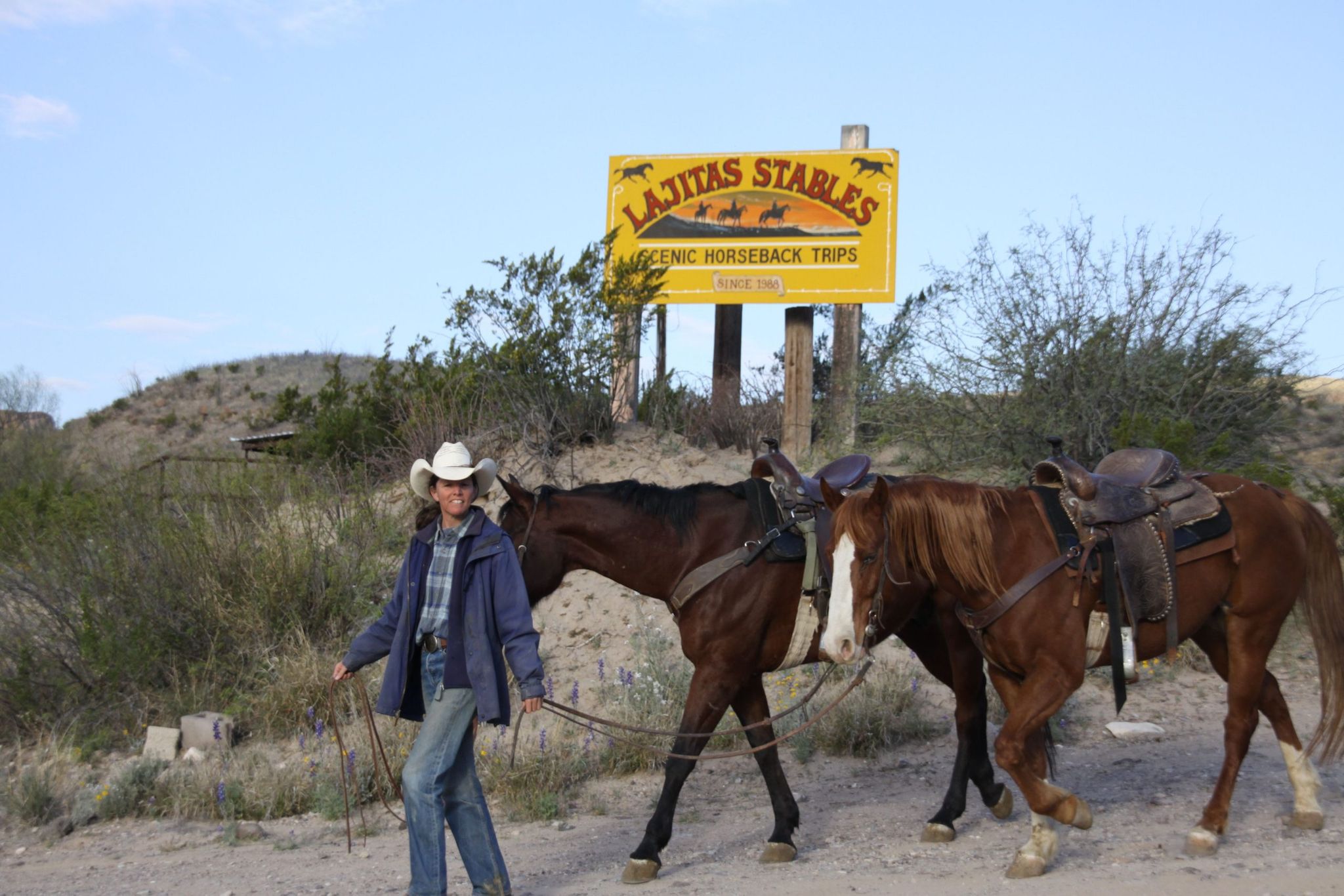 A person leading two horses near a sign for Lajitas Stables in a desert landscape.