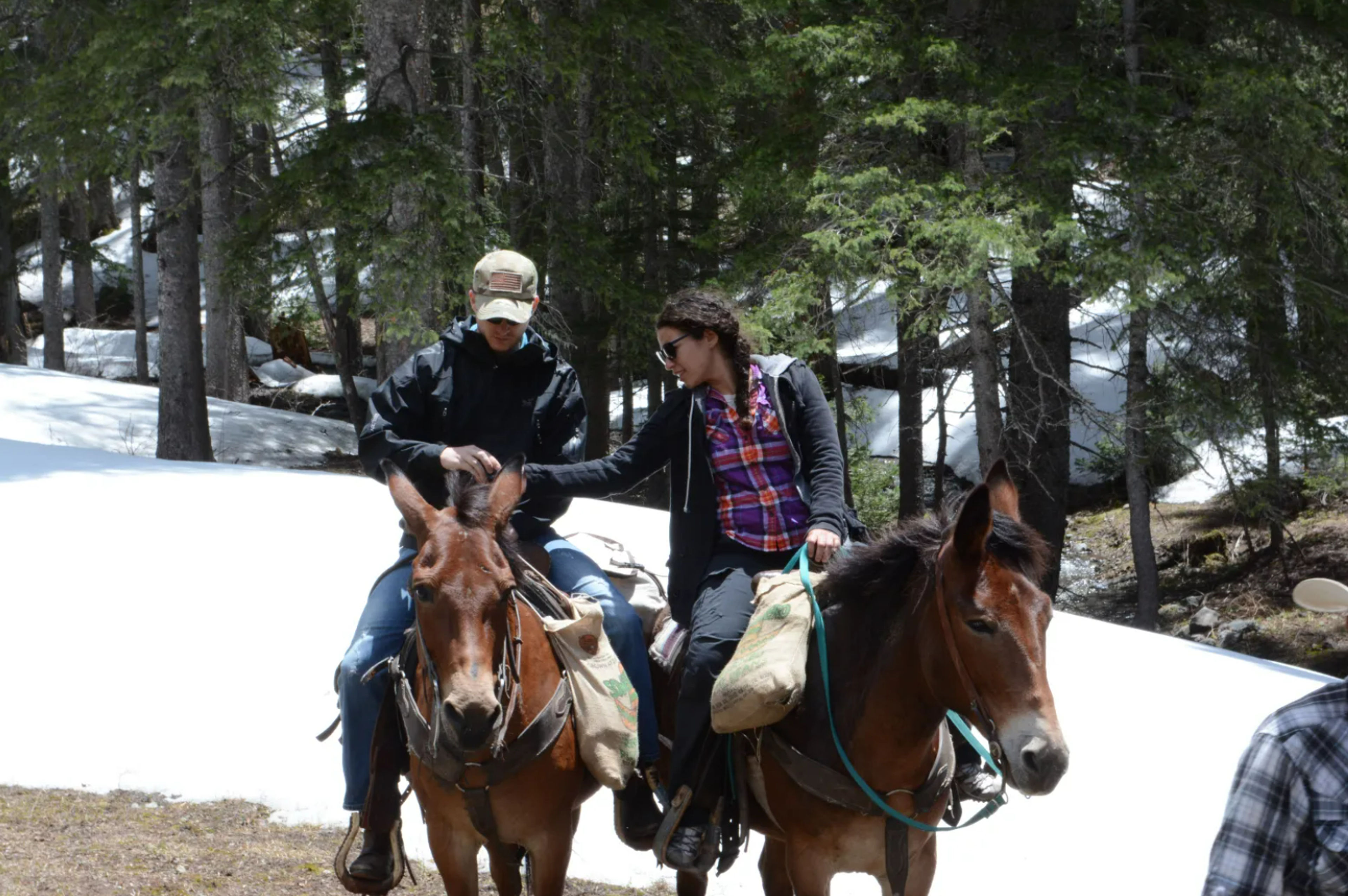 Two people on horseback in a snowy forested area, interacting with each other.