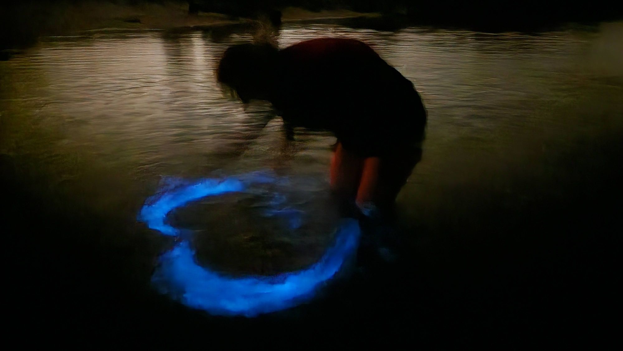 Drawing a heart into the bioluminescence.