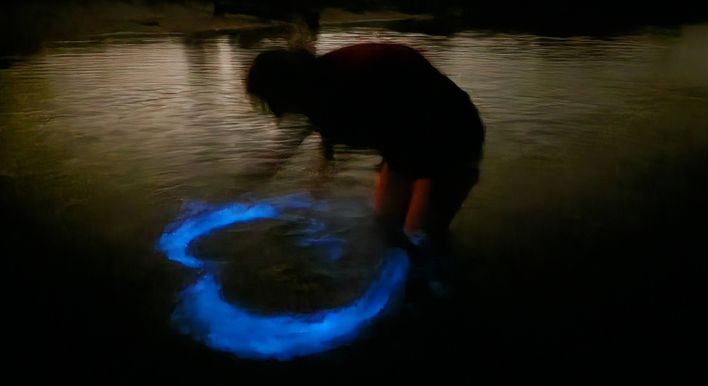 Drawing a heart into the bioluminescence.