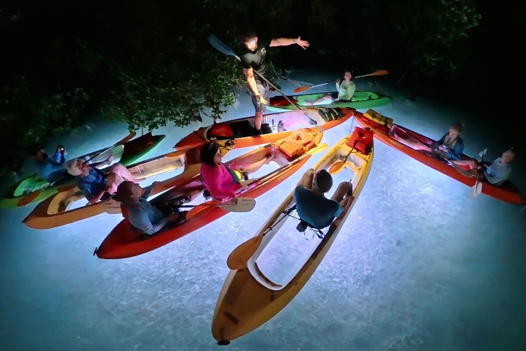 Night Kayak Guided Tour 