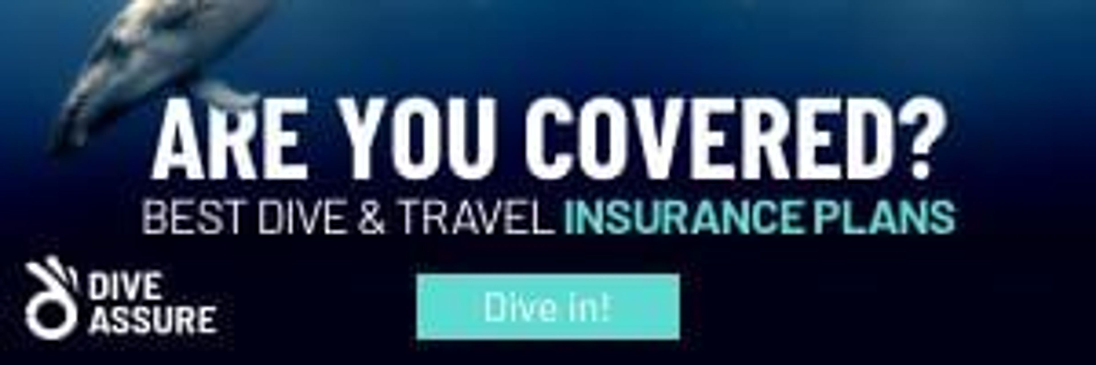 Why You Should Consider Travel Insurance...