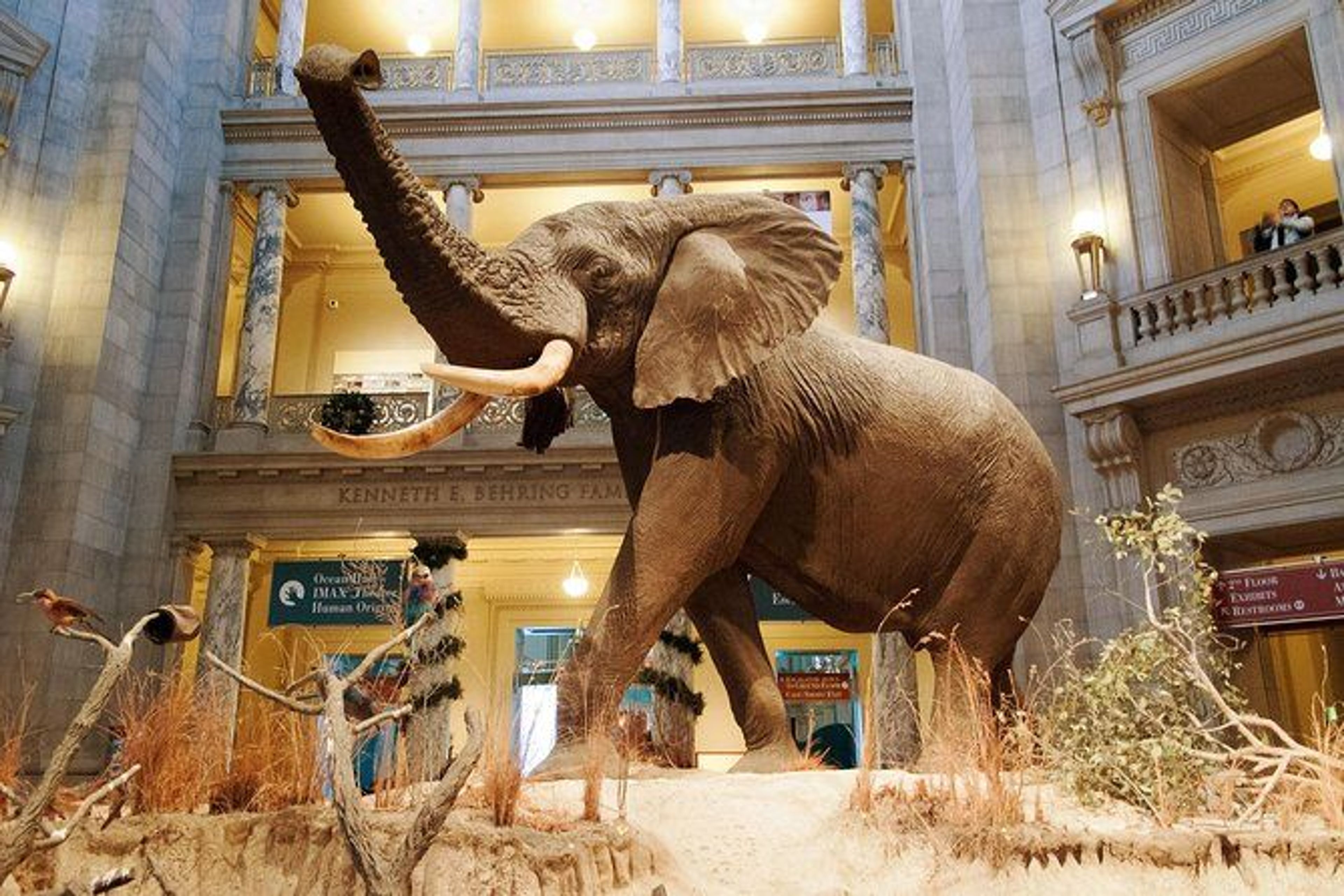 7 Best Museums In DC You Can't Miss
