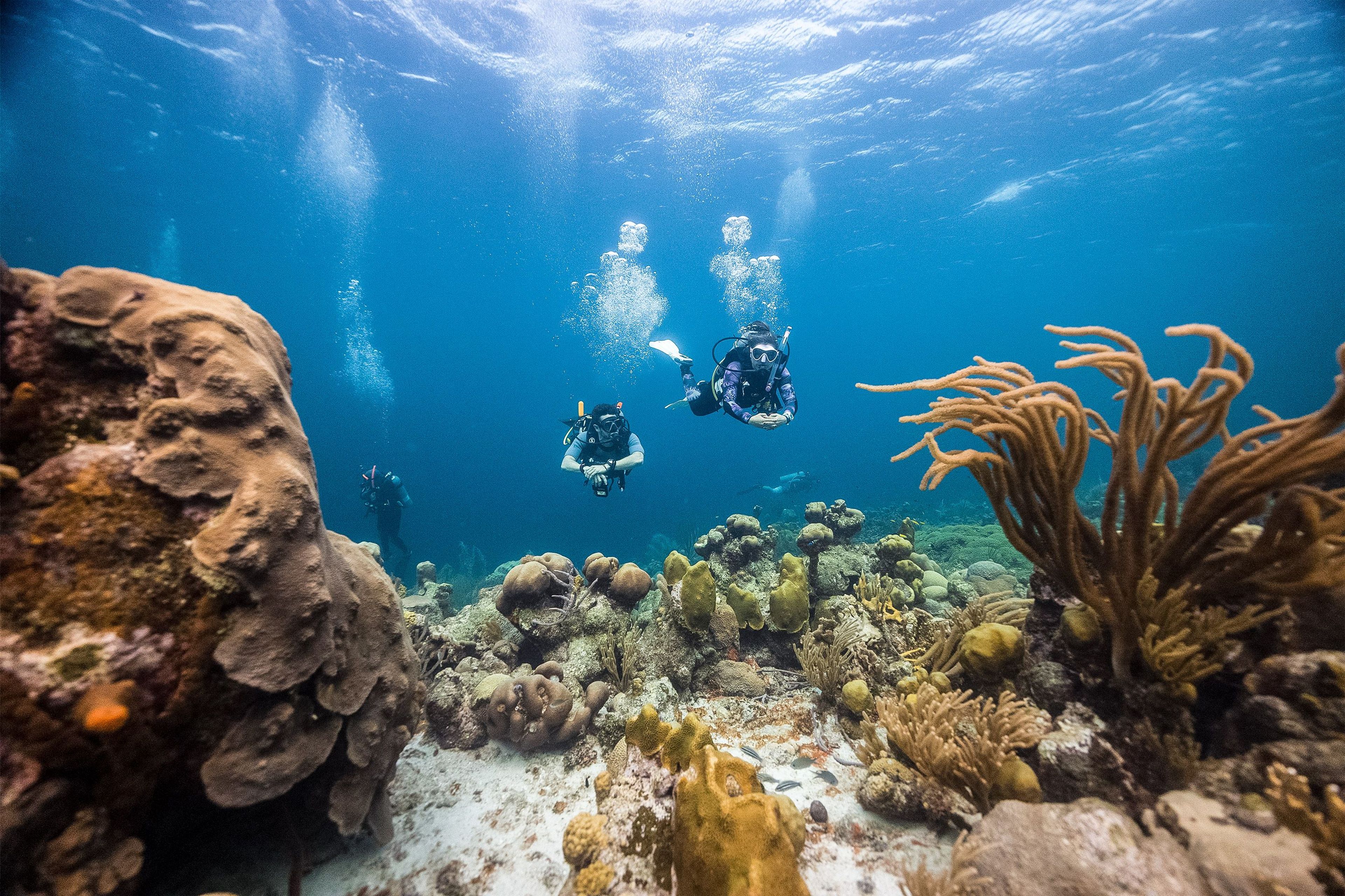6 Dive Package