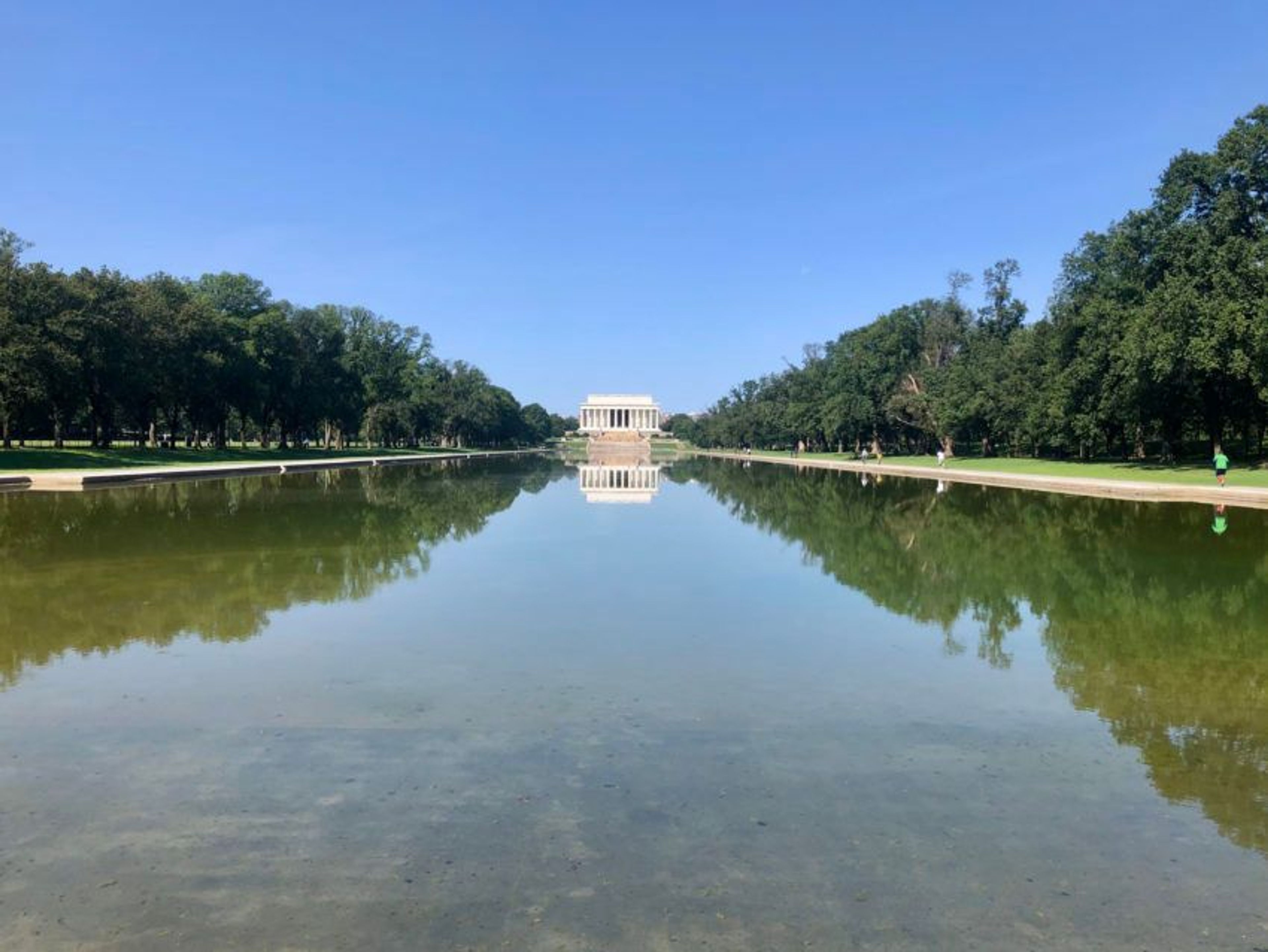 Washington Was Never a Swamp