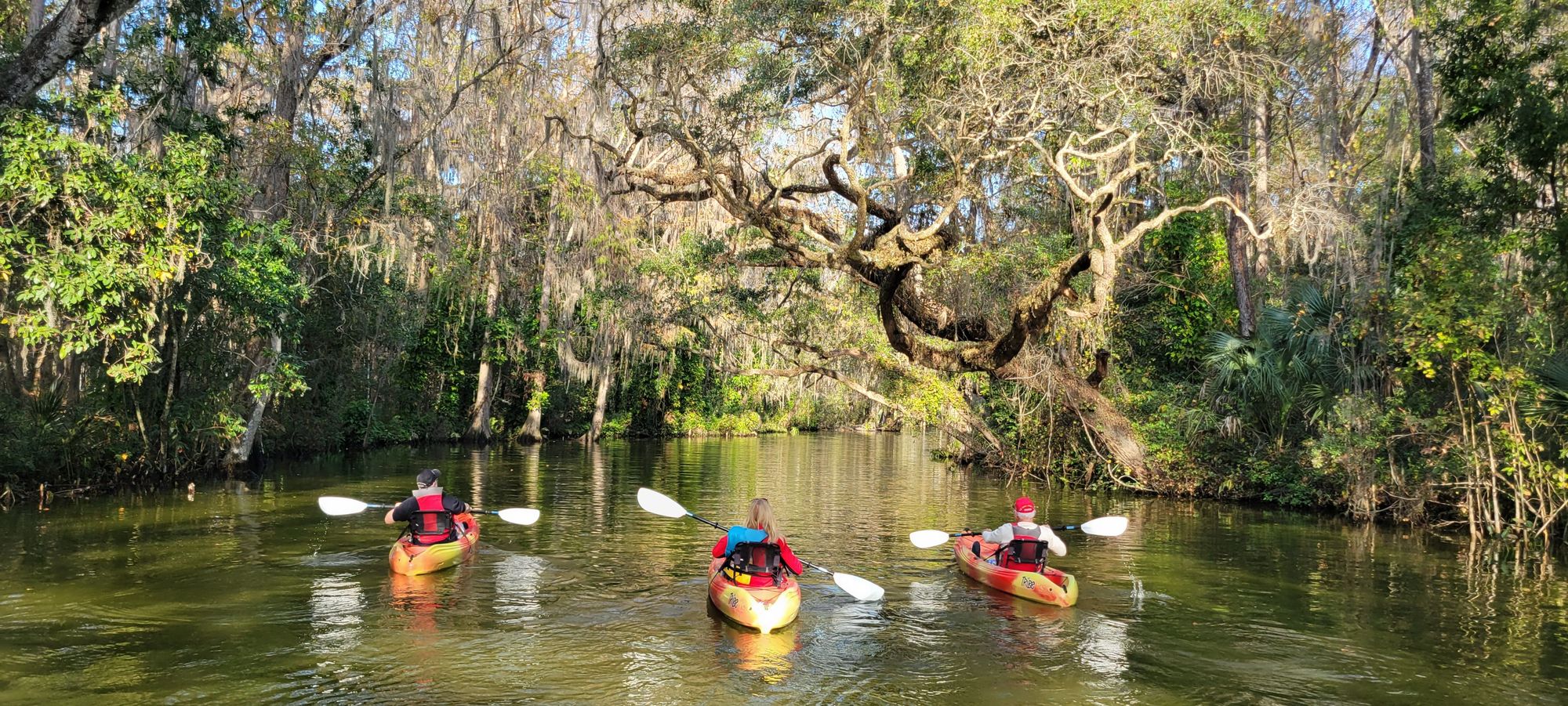 Adventure in the Dora Canal