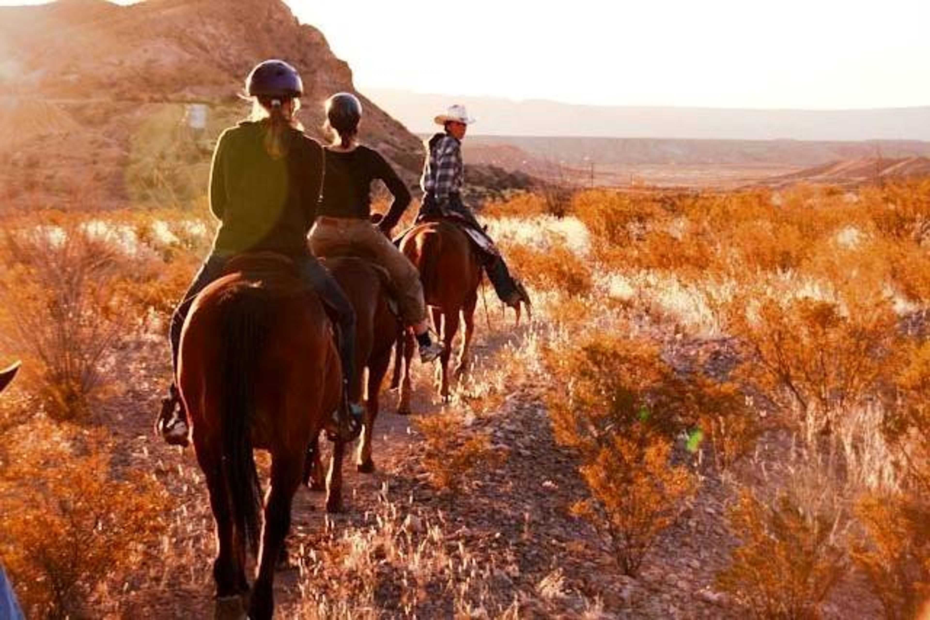 Big Bend Stables - Desert Sunset Ride - Image 4