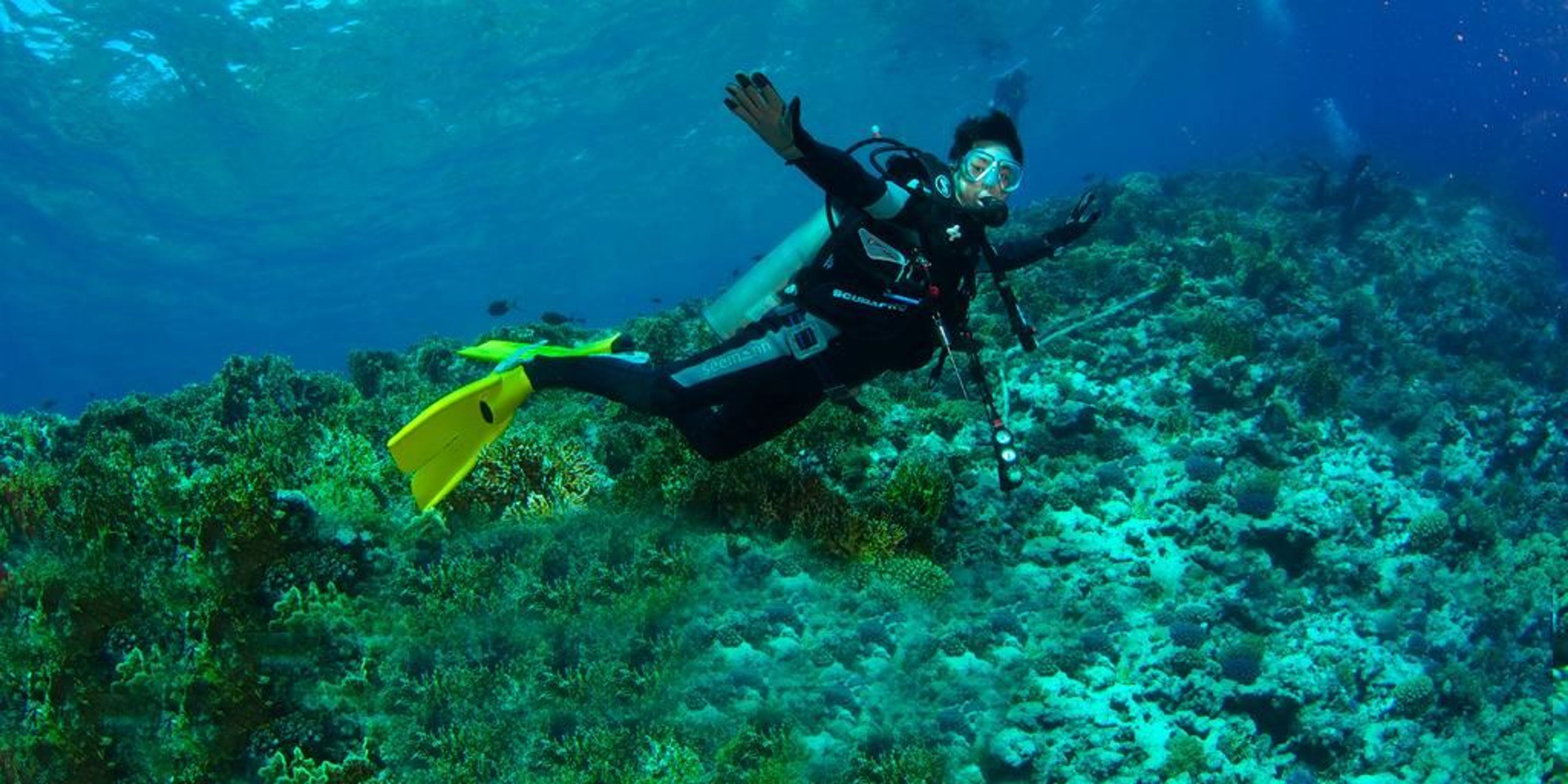 Diving