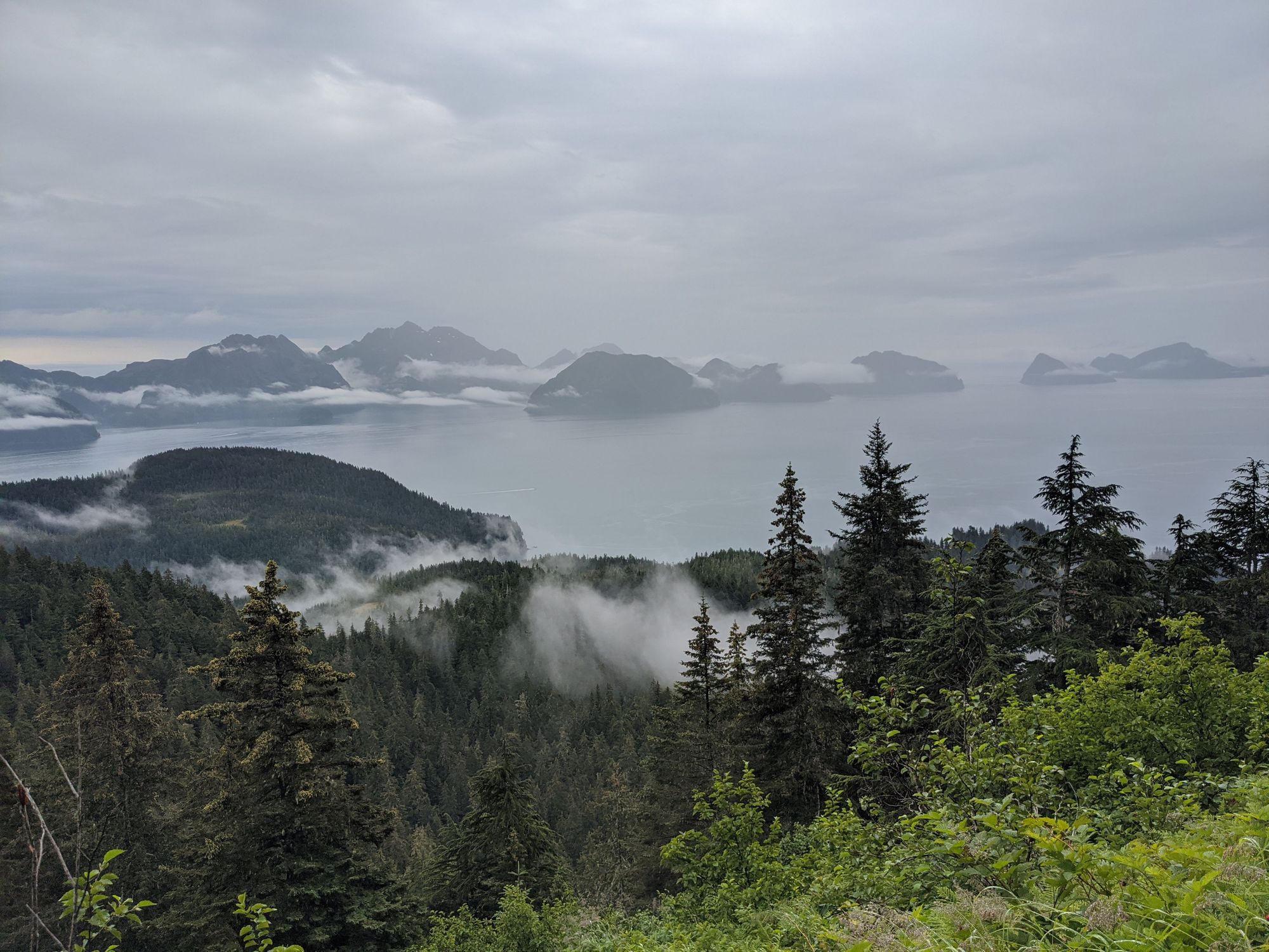 Cloudy day on Alpine Trail