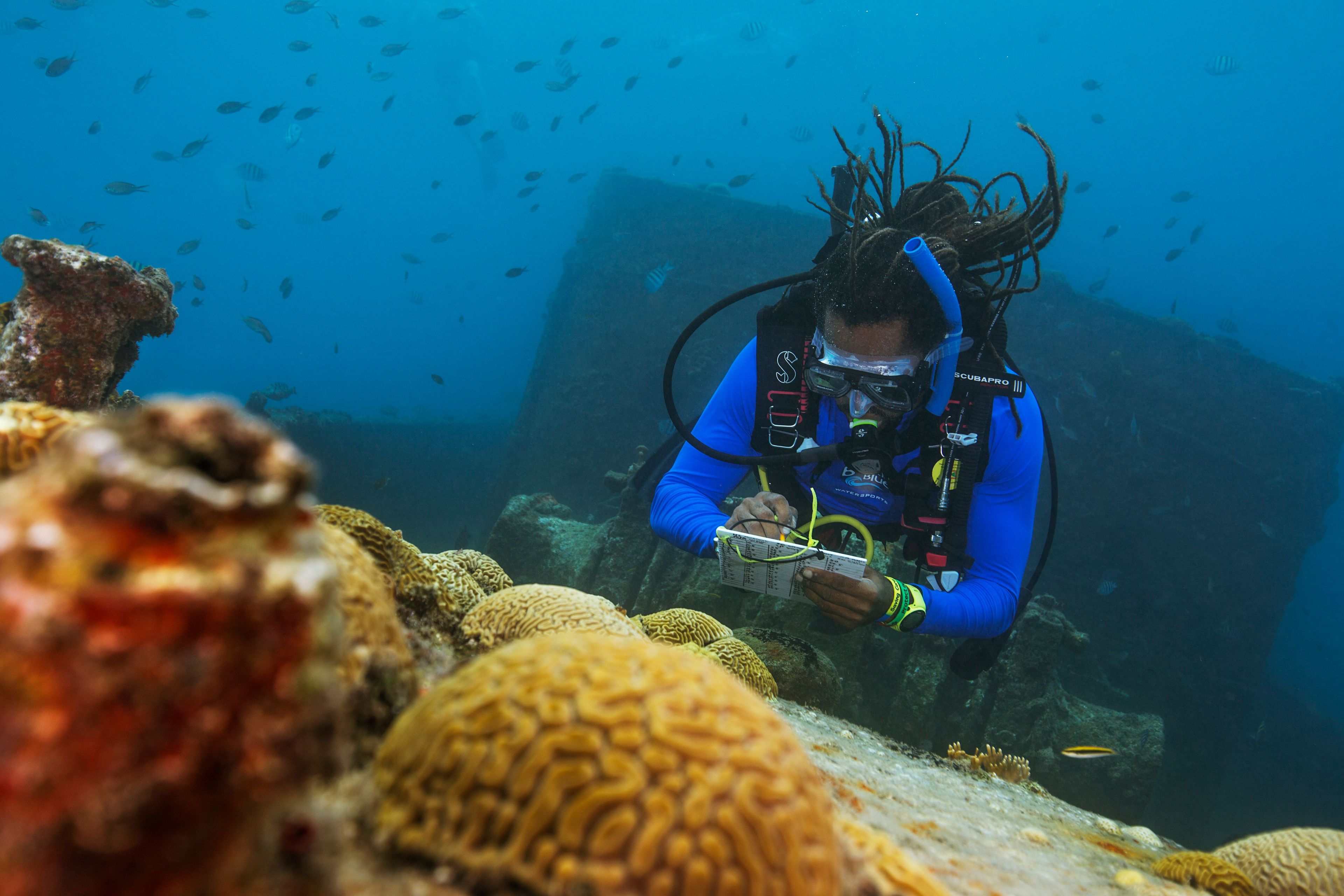 PADI Training