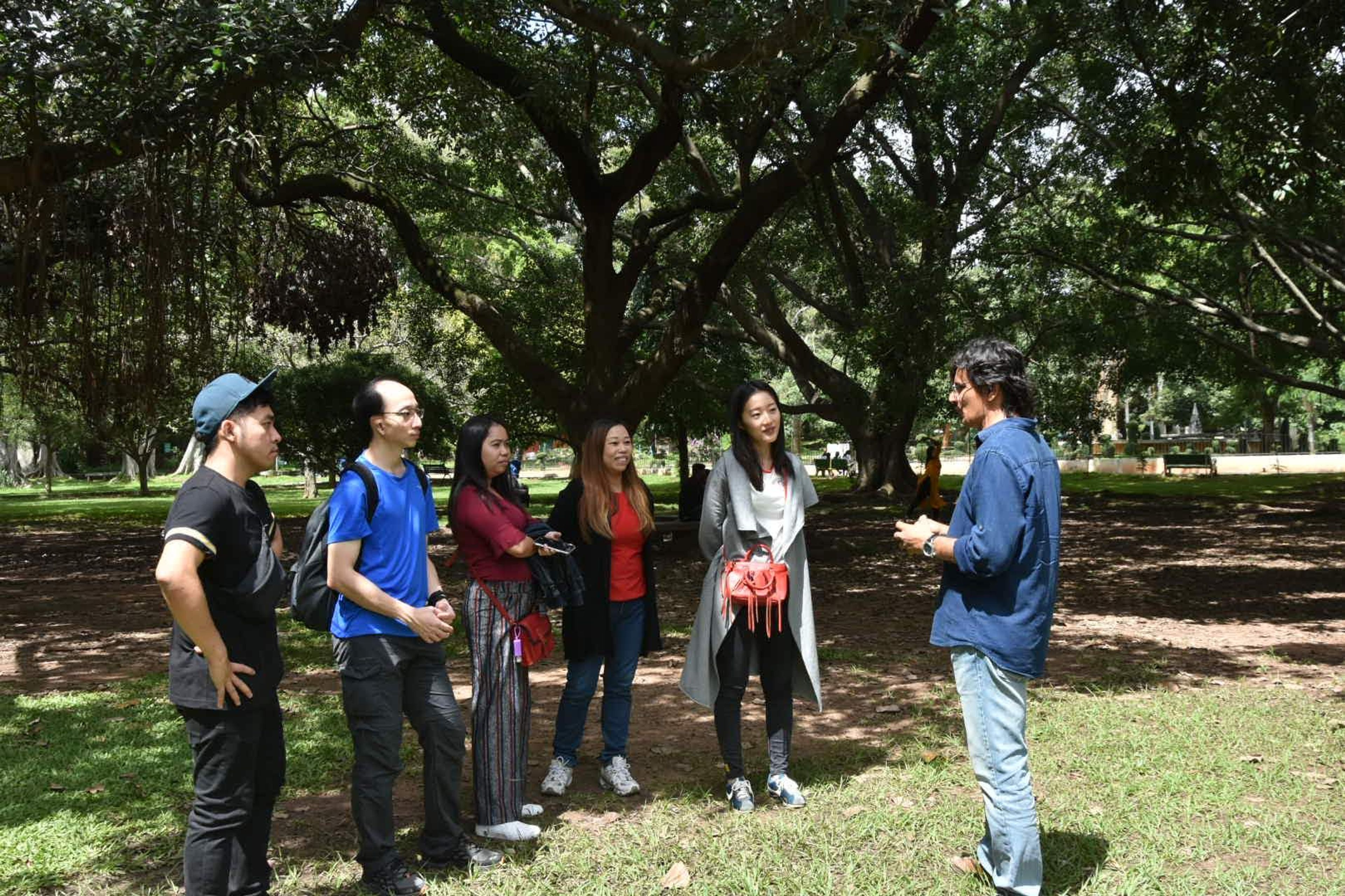 Walking Tours