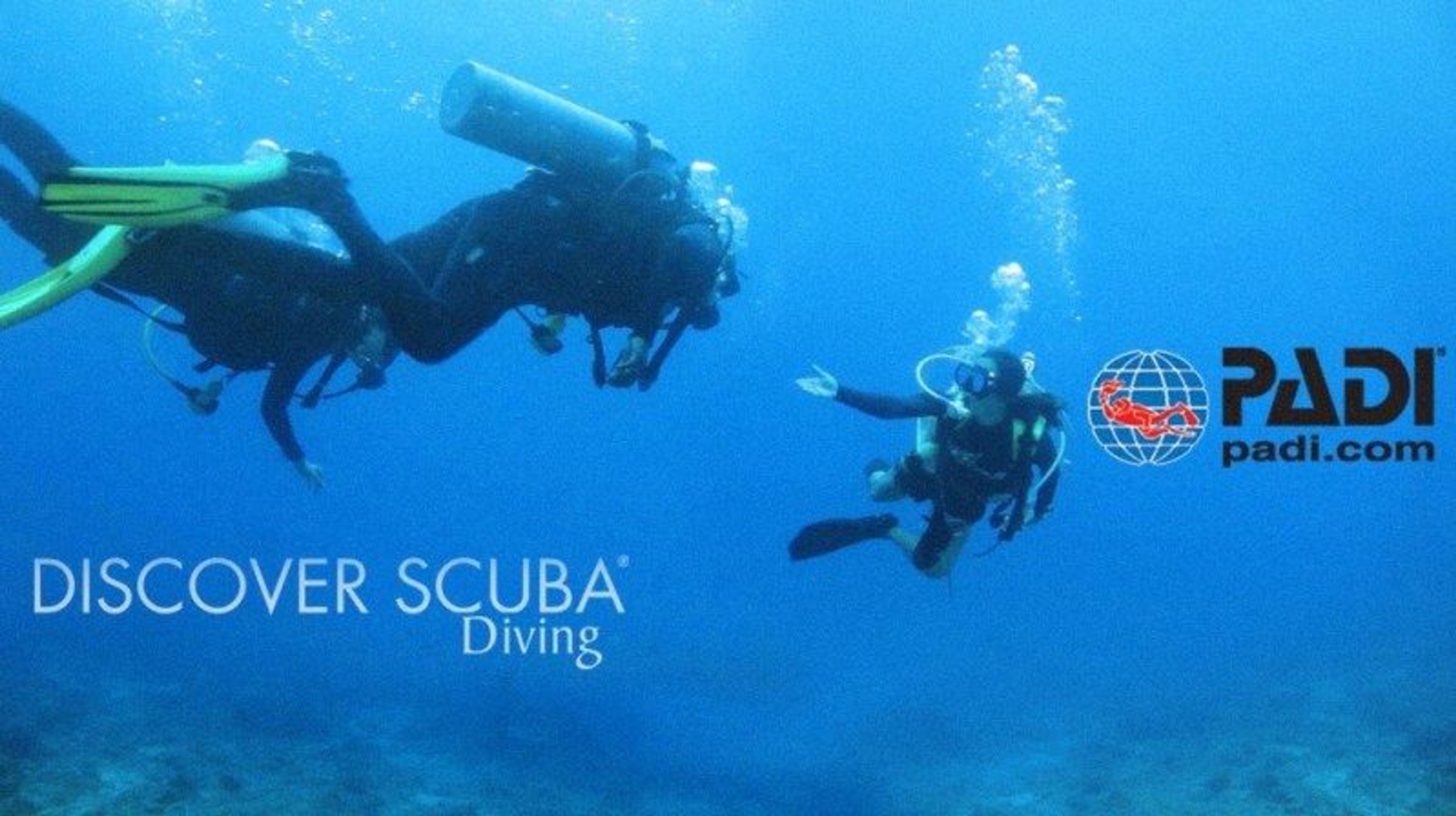 Hammond Bay 2 Tank Diving - Image 2
