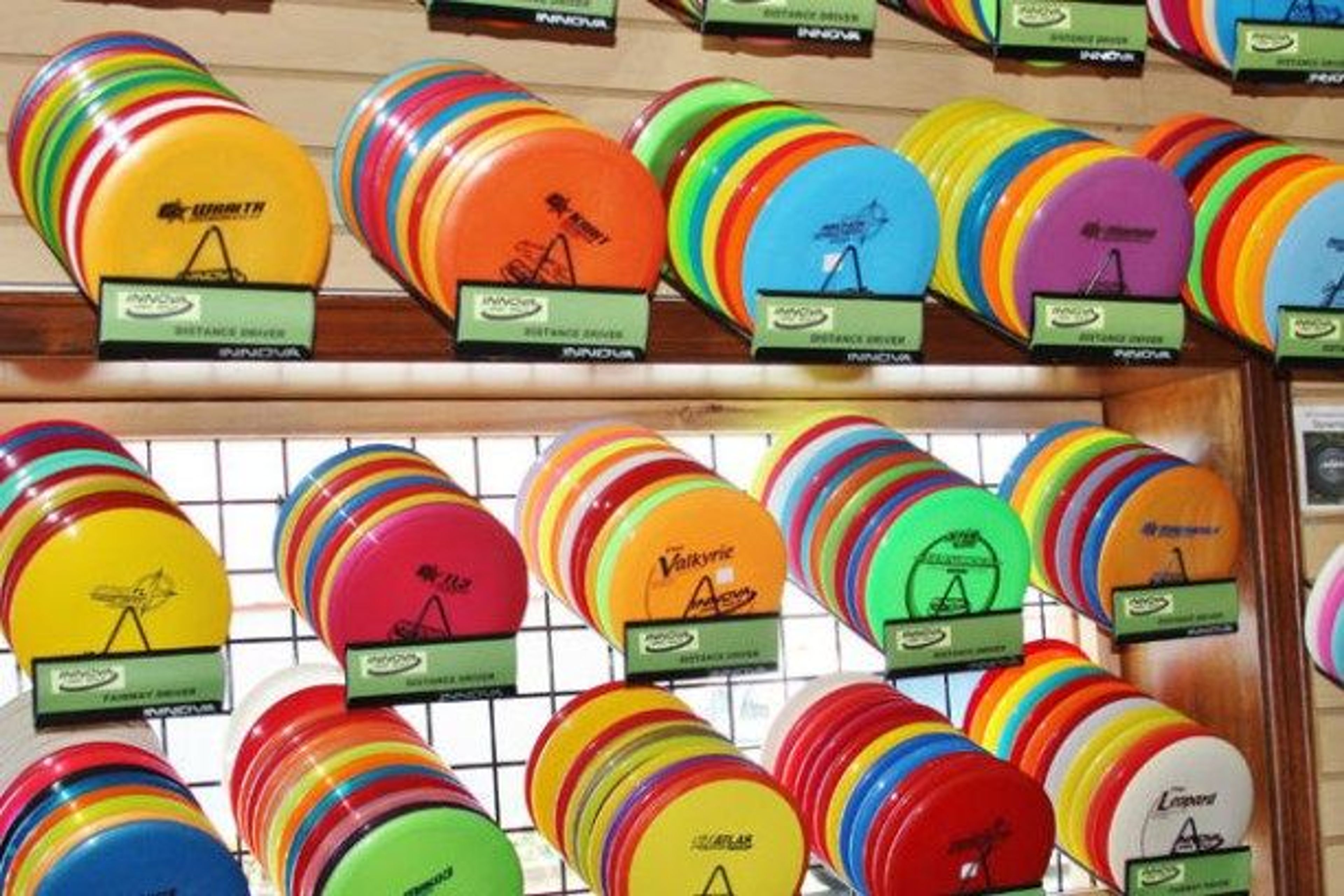 Pagosa Springs Disc Golf Rental - Image 1