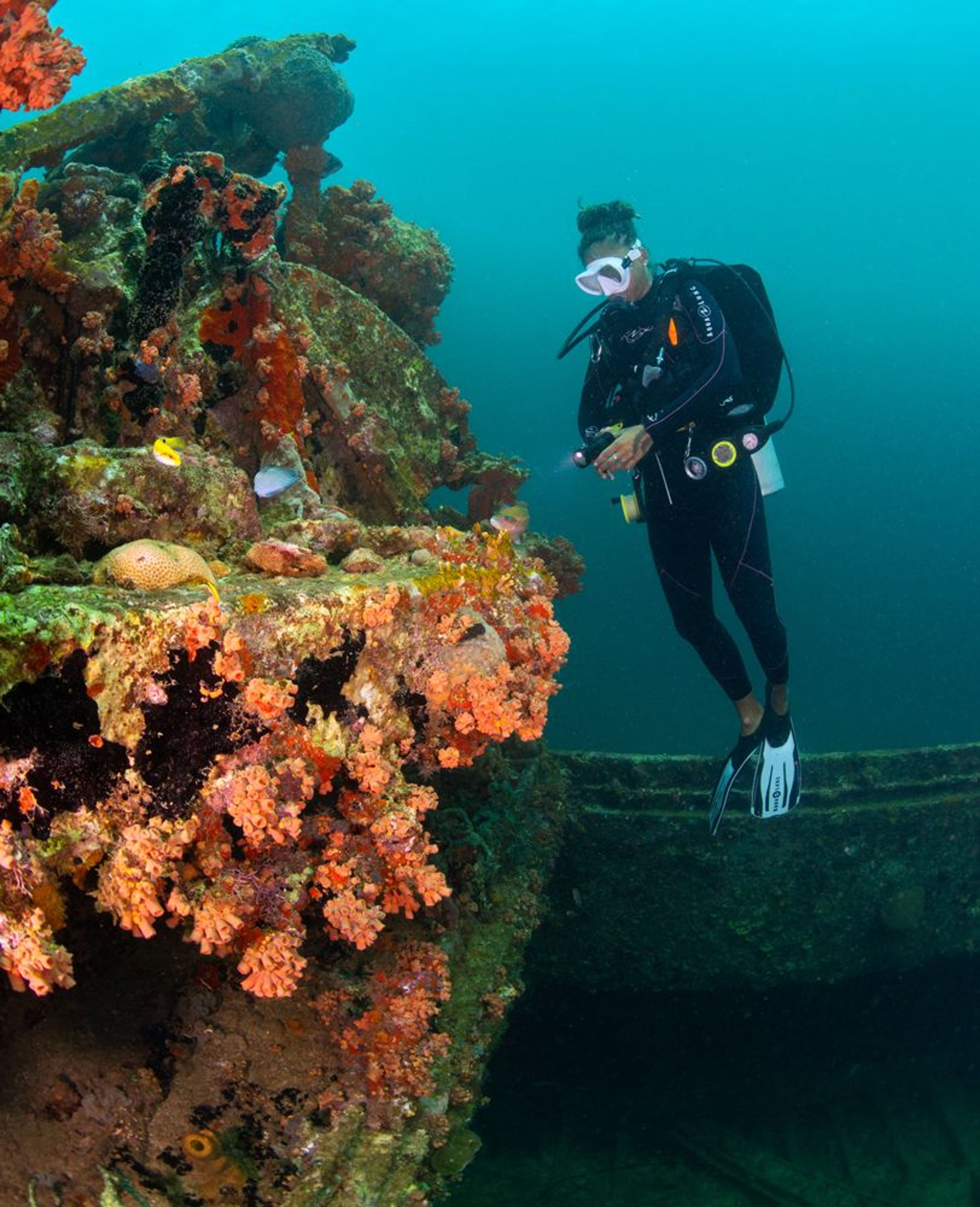 16 Dive Package - Image 1