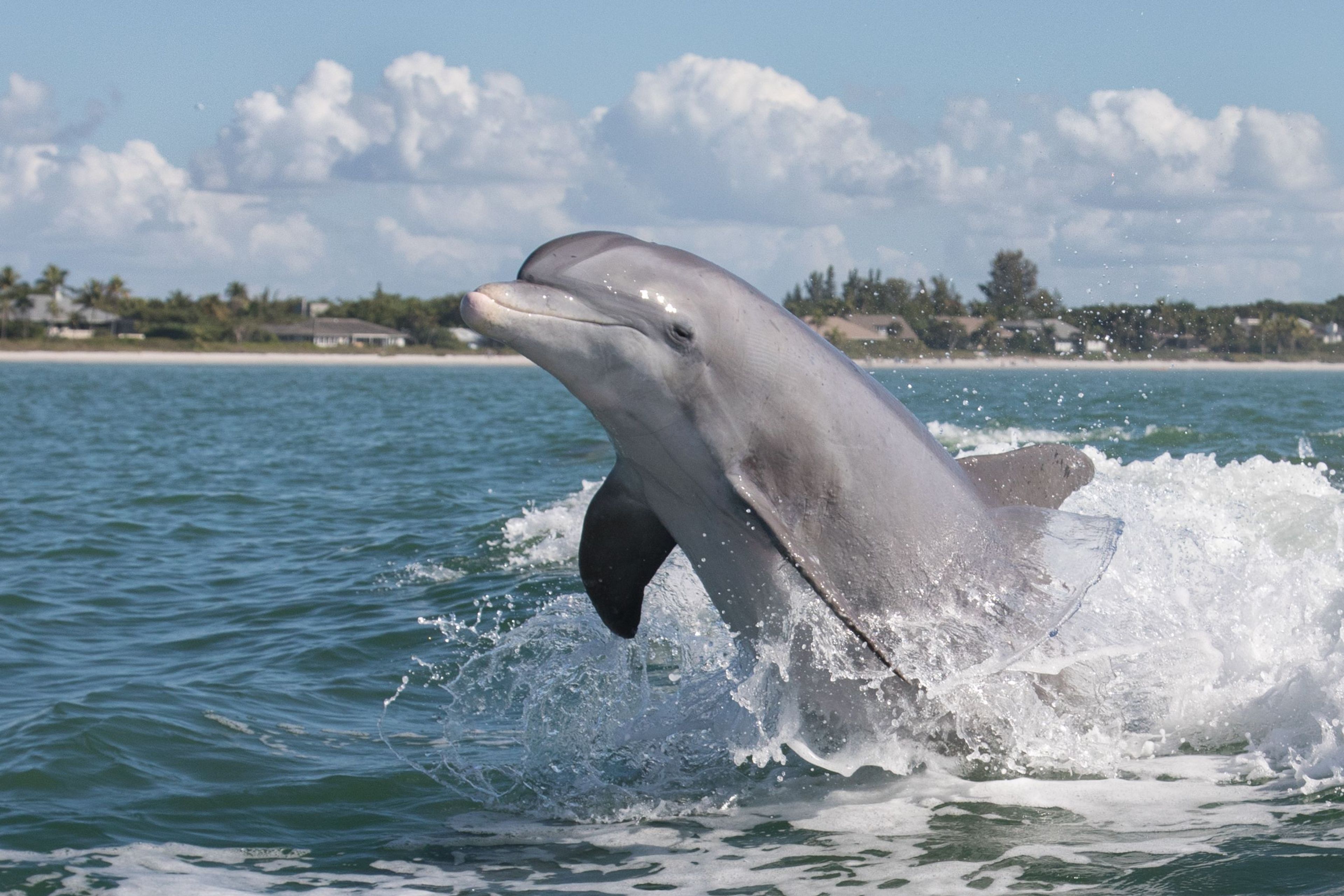 St Augustine Boat Tours