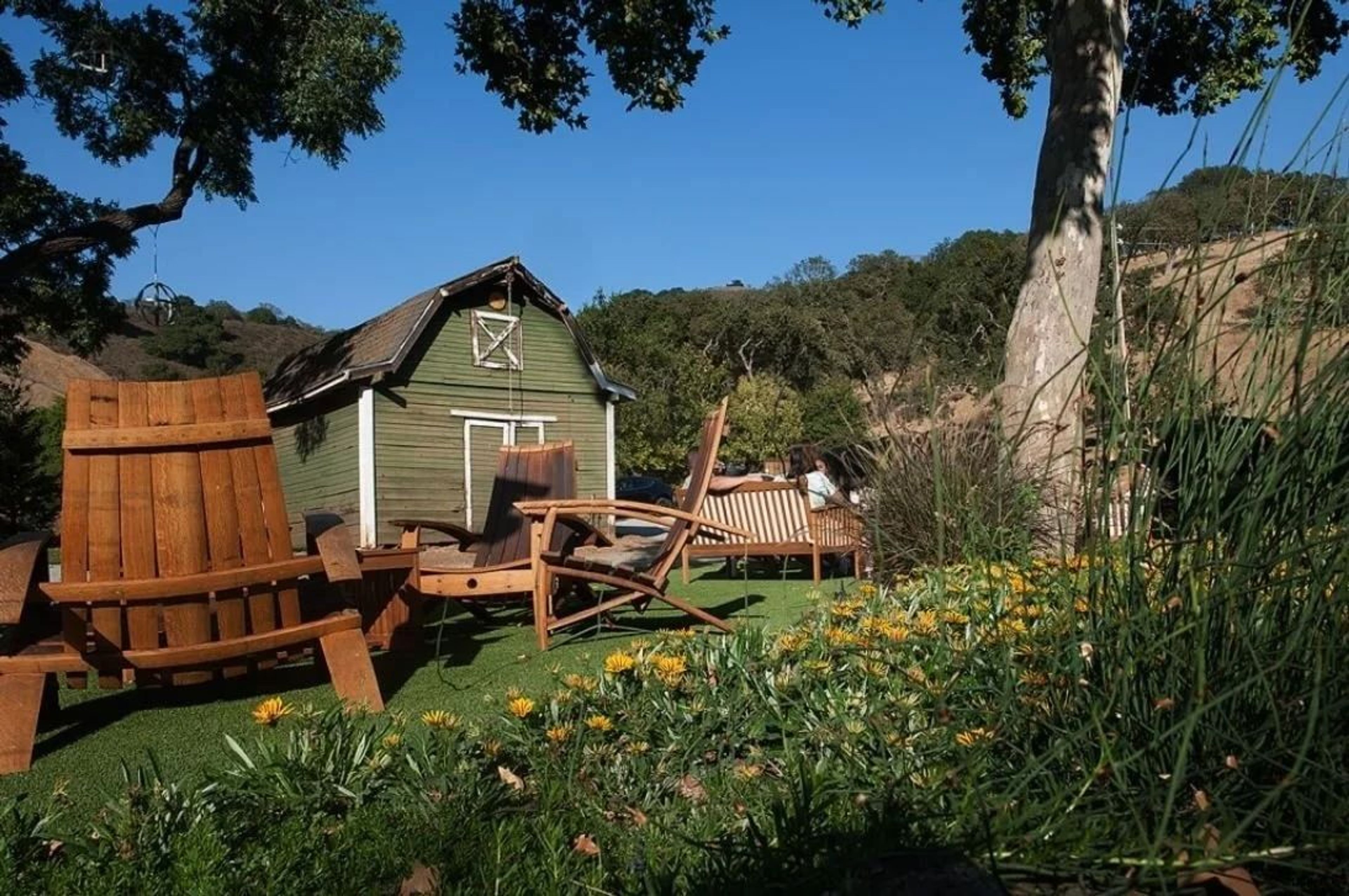 EmmaLily Vineyards