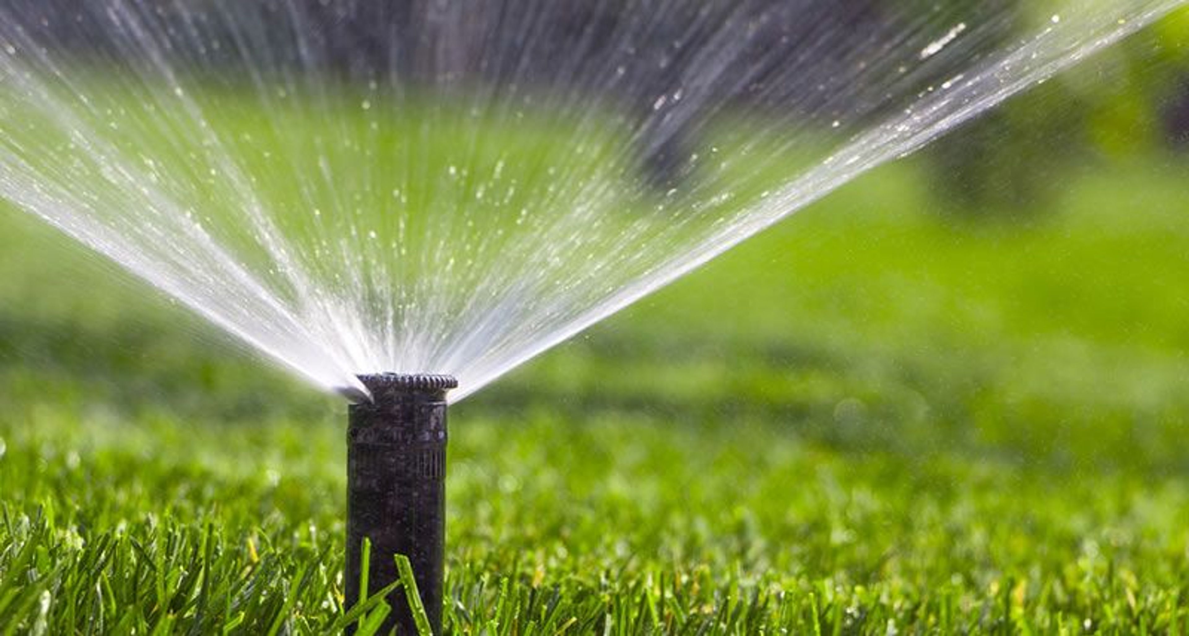 The Spy’s Sprinkler System