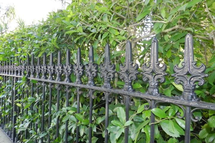 Black cast iron fence with fleur de lis finials and a green shrub behind it.