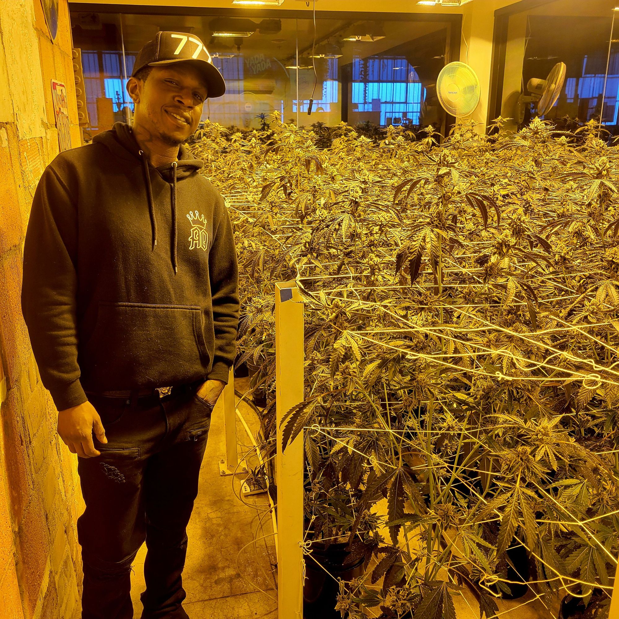 Winery And Grow